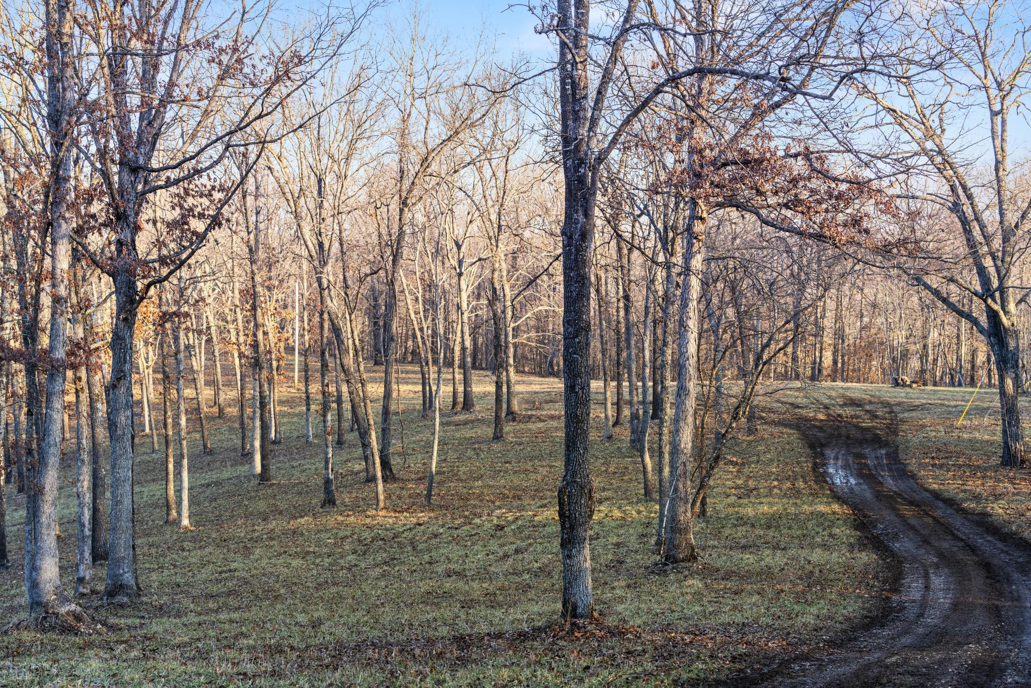 1025 Bounty Drive Property Photo 89