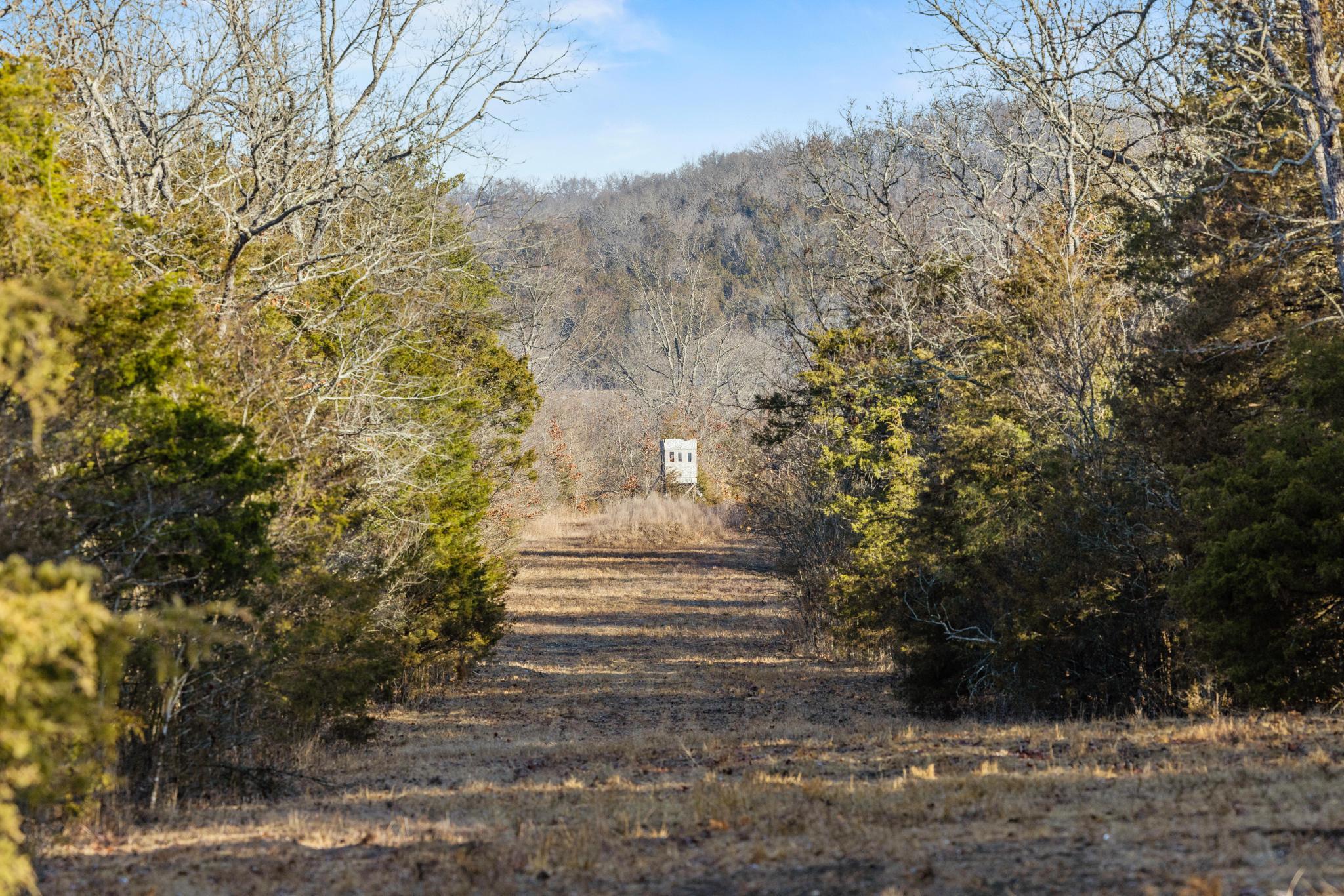 1025 Bounty Drive Property Photo 95