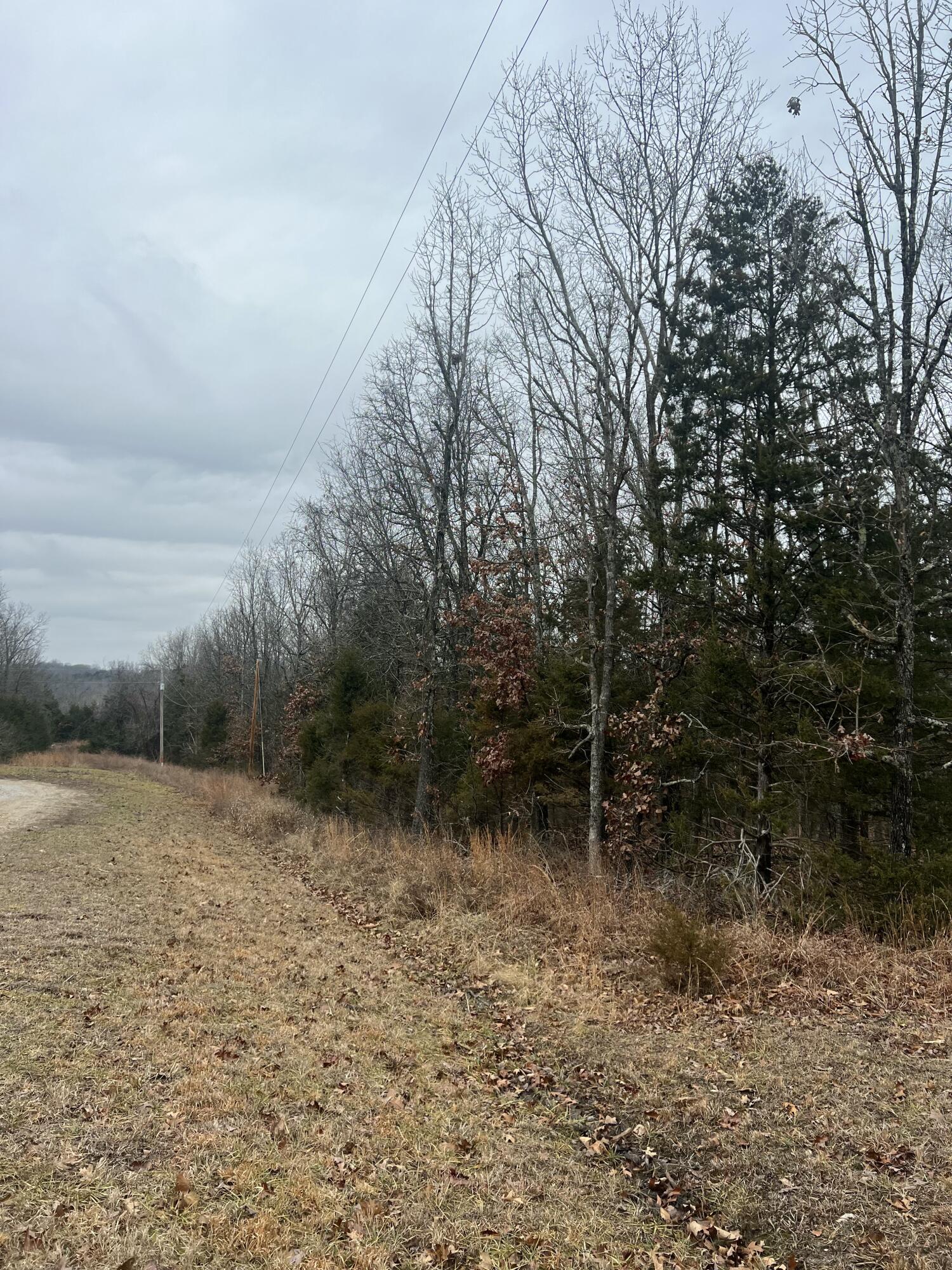 000 Co Rd 306 Pvt Dr A Property Photo 2