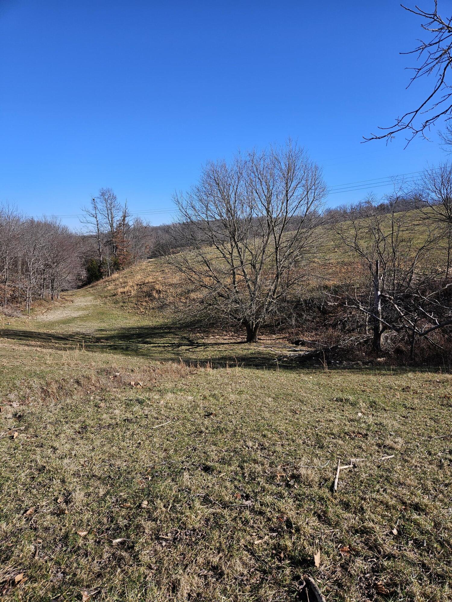 29.62 Acre Low Gap Road Property Photo 5