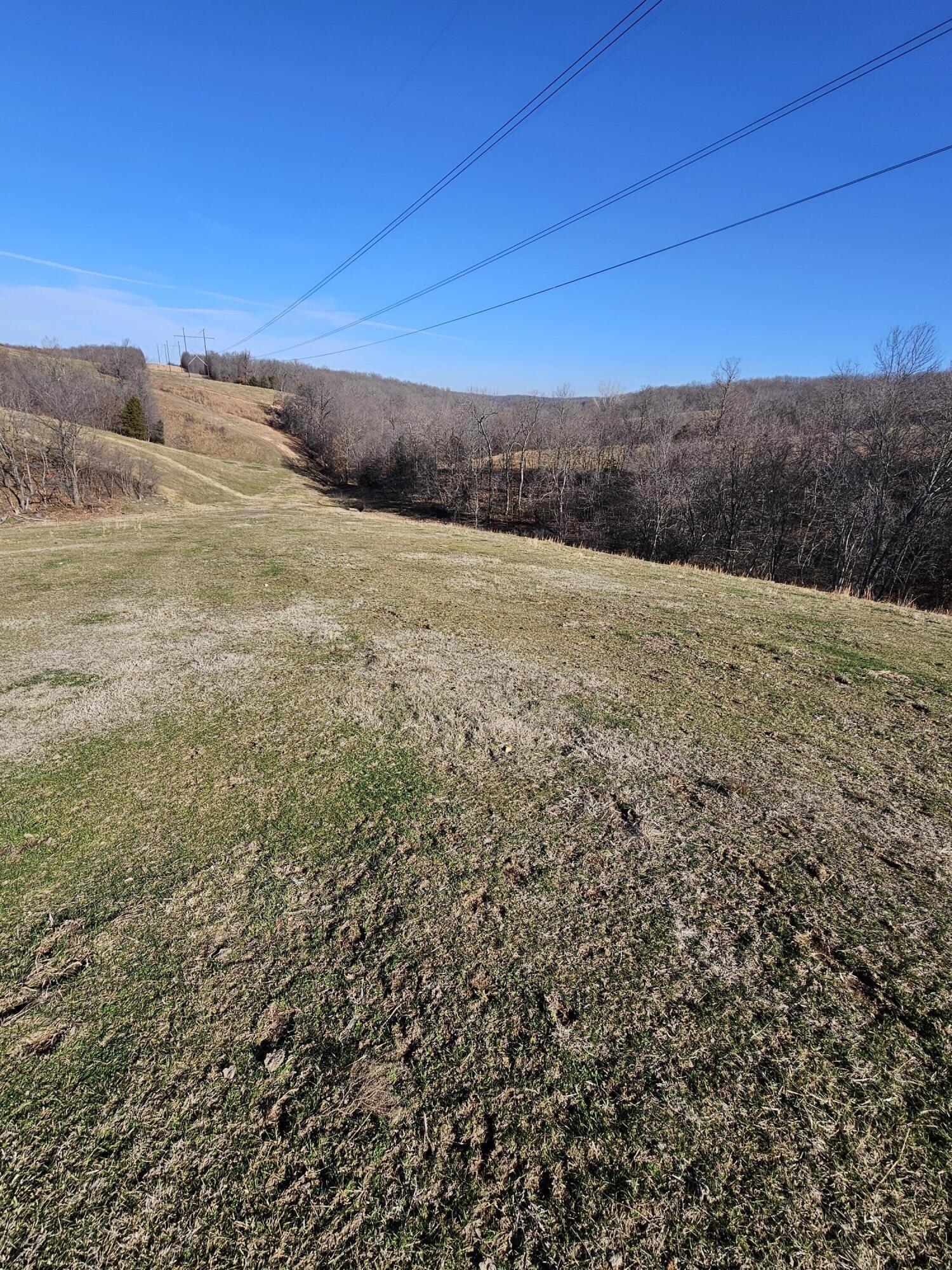 29.62 Acre Low Gap Road Property Photo 11