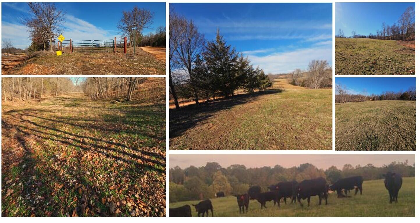 40.19 Acre Low Gap Road Property Photo