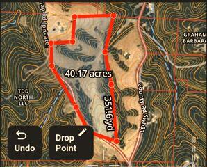 40.19 Acre Low Gap Road Property Photo 2