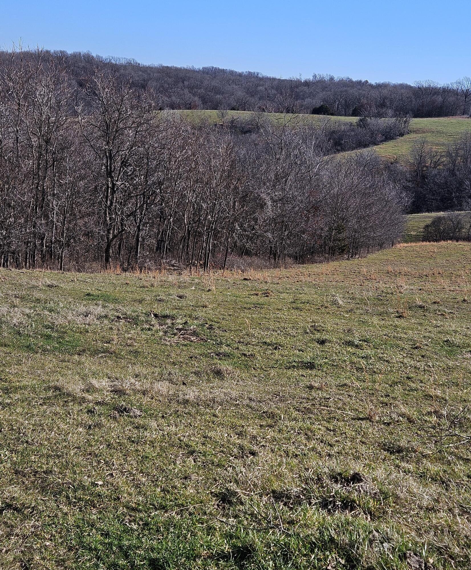40.19 Acre Low Gap Road Property Photo 4