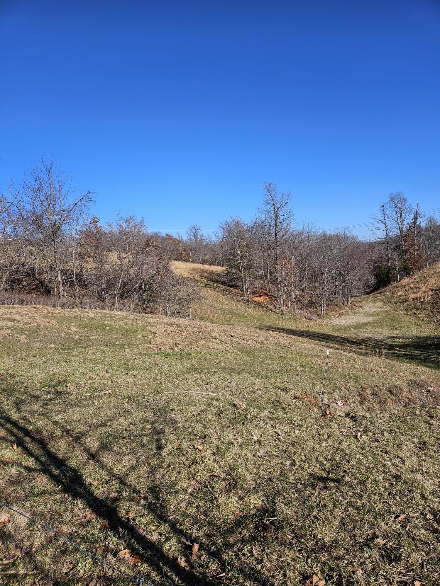 40.19 Acre Low Gap Road Property Photo 6