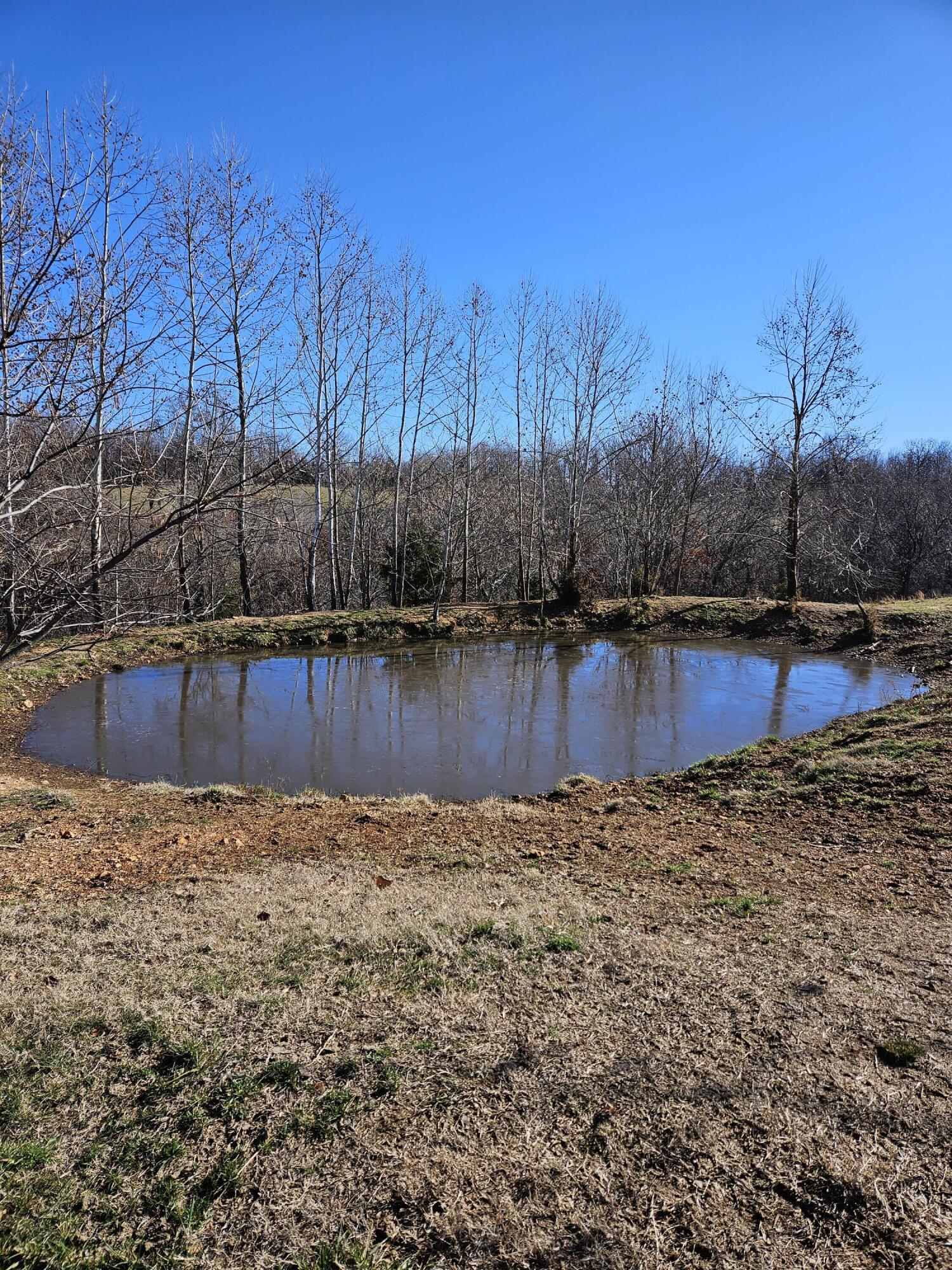 40.19 Acre Low Gap Road Property Photo 7