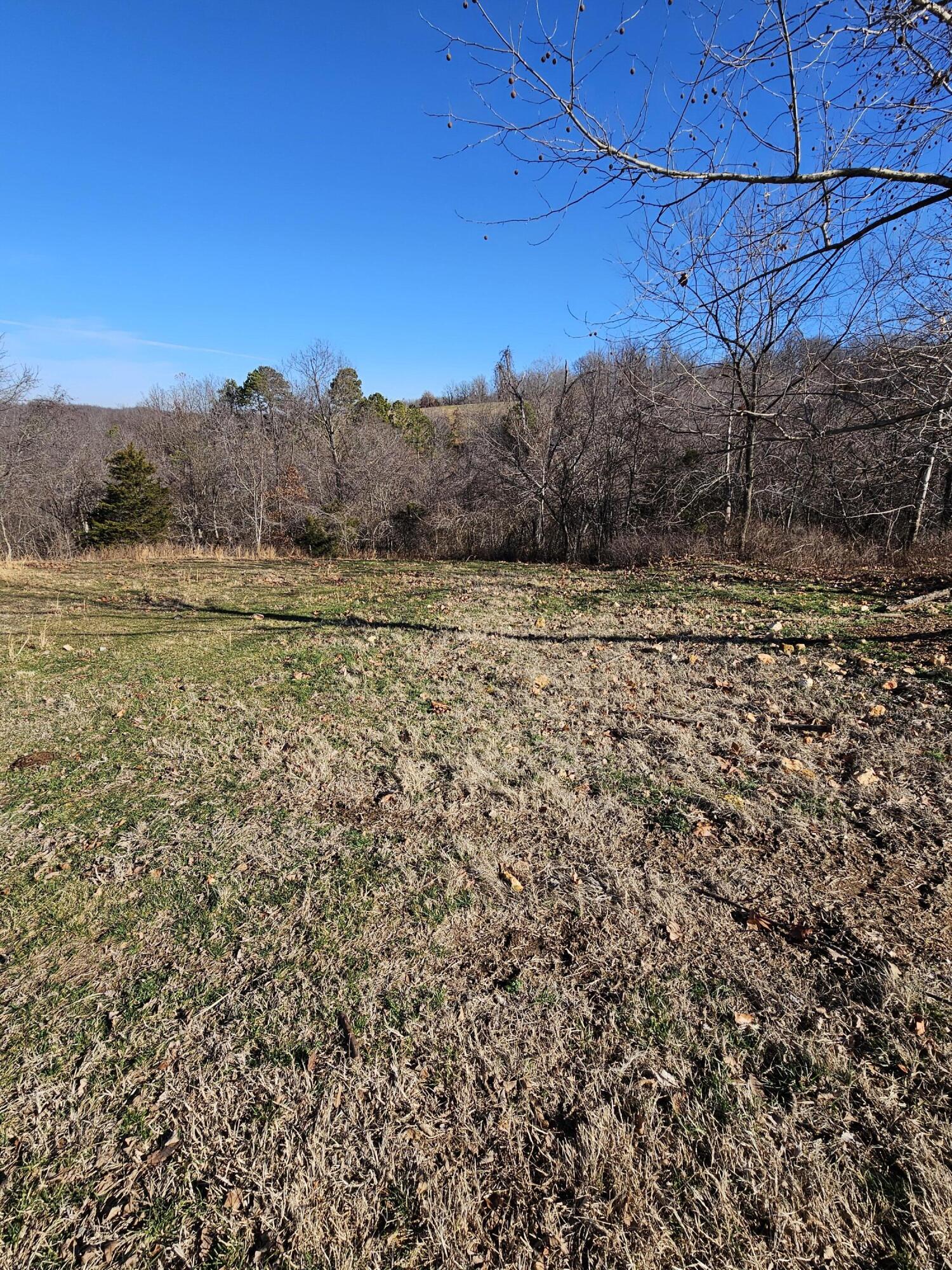 40.19 Acre Low Gap Road Property Photo 8
