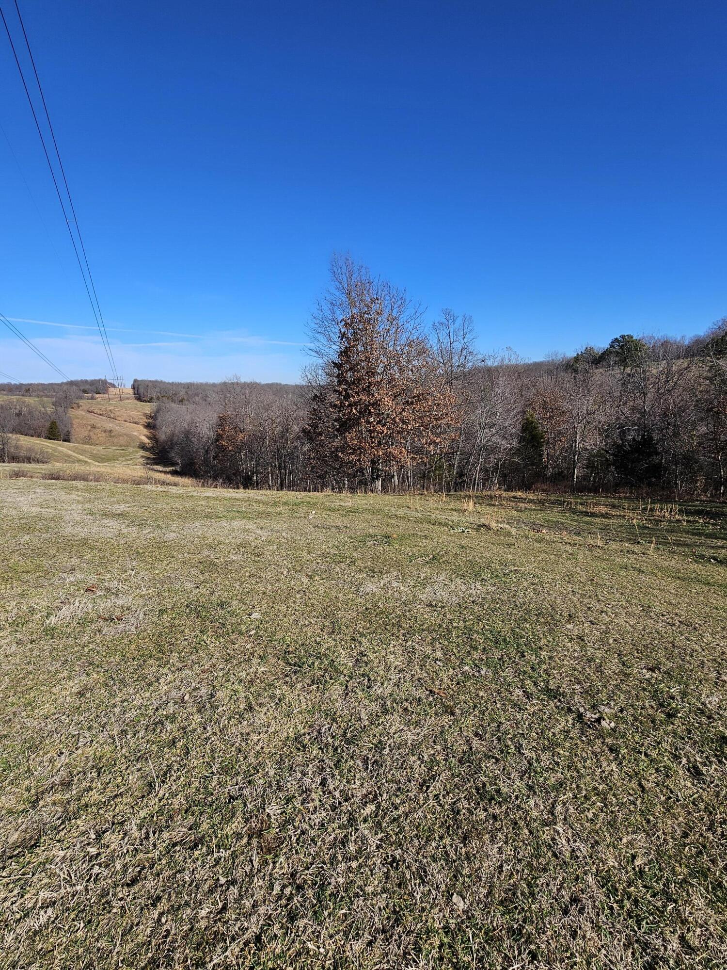 40.19 Acre Low Gap Road Property Photo 10