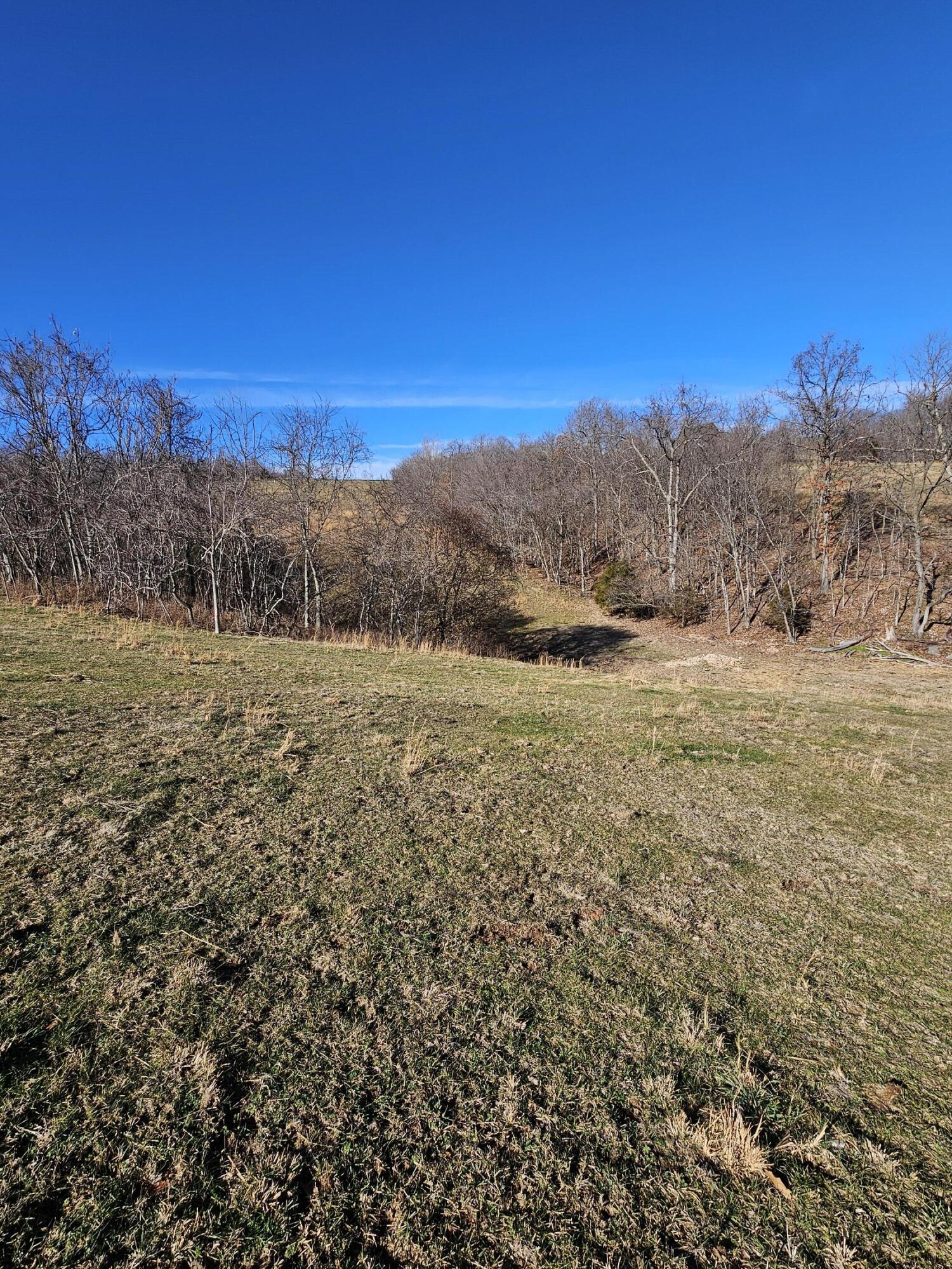 40.19 Acre Low Gap Road Property Photo 13