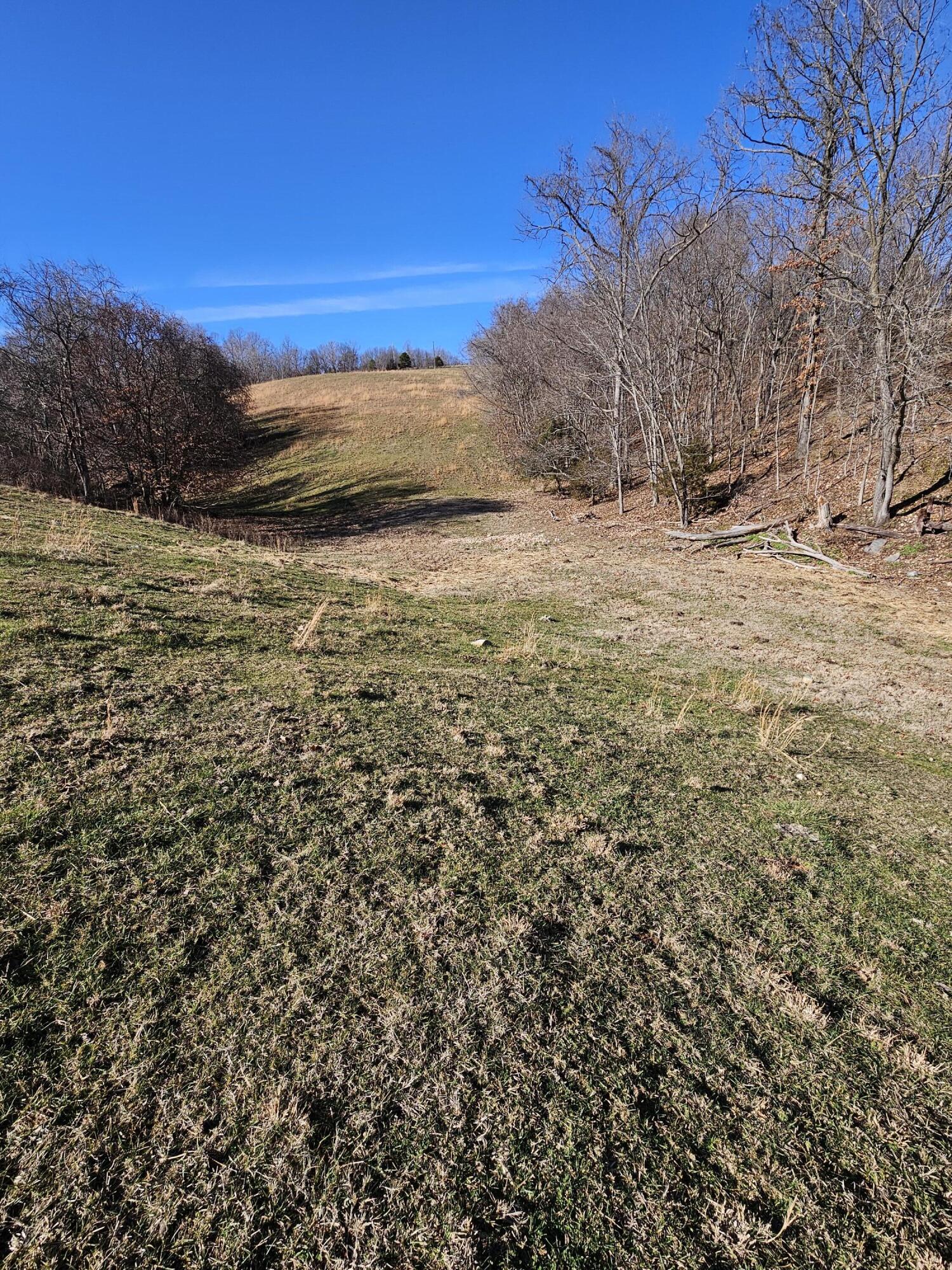 40.19 Acre Low Gap Road Property Photo 14