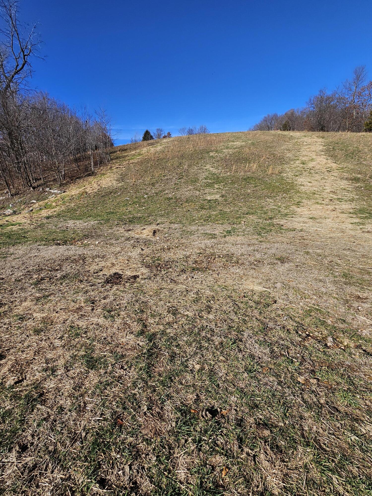40.19 Acre Low Gap Road Property Photo 15