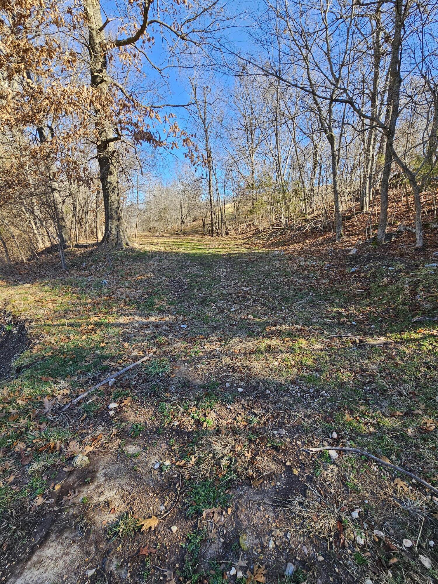 40.19 Acre Low Gap Road Property Photo 16