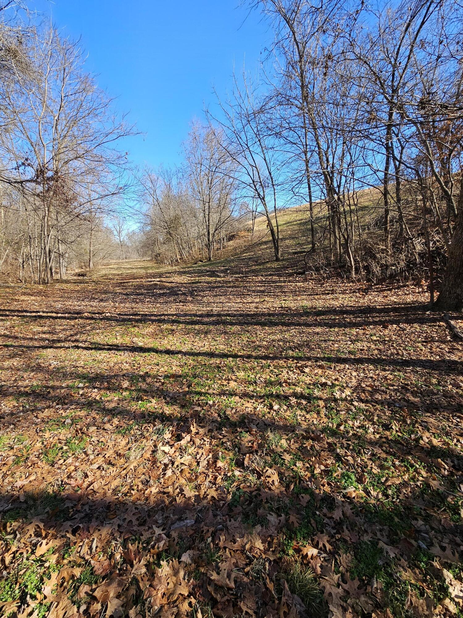 40.19 Acre Low Gap Road Property Photo 17
