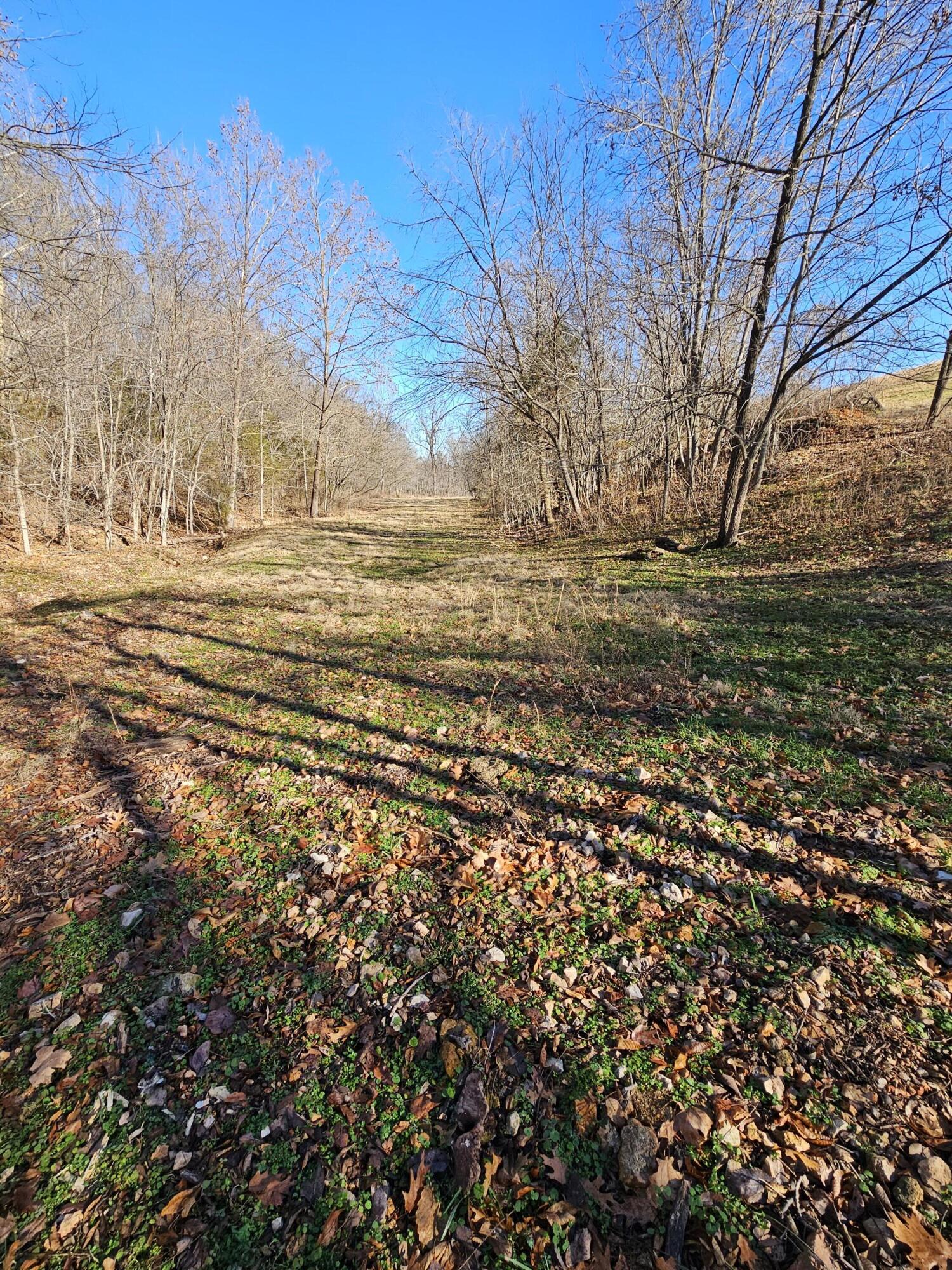 40.19 Acre Low Gap Road Property Photo 19