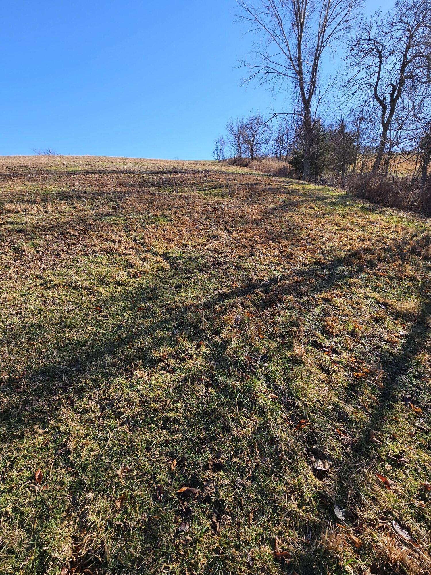 40.19 Acre Low Gap Road Property Photo 20