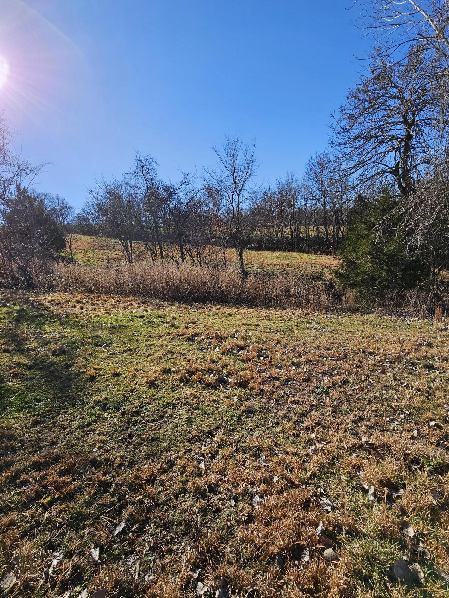 40.19 Acre Low Gap Road Property Photo 21