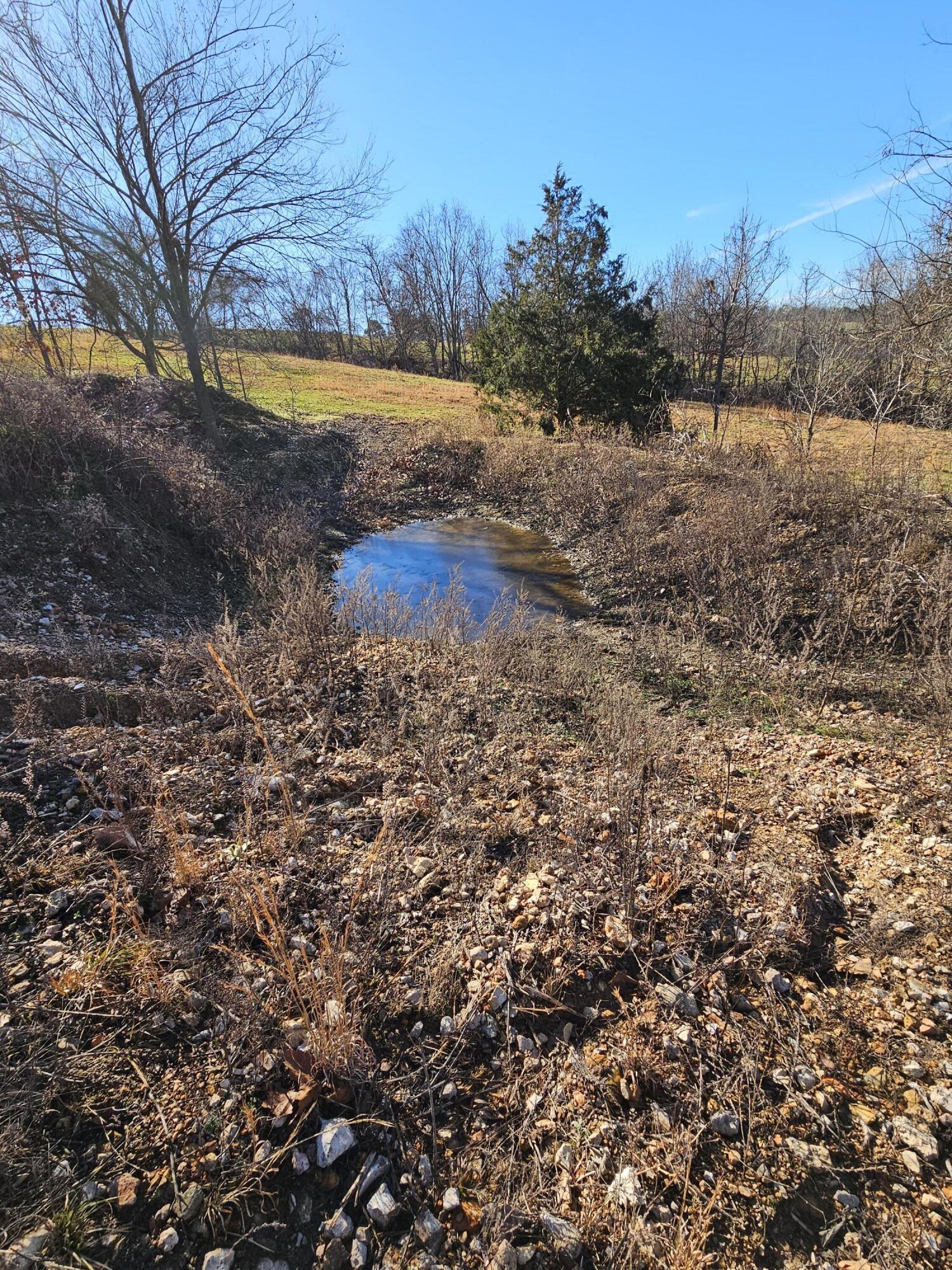 40.19 Acre Low Gap Road Property Photo 22