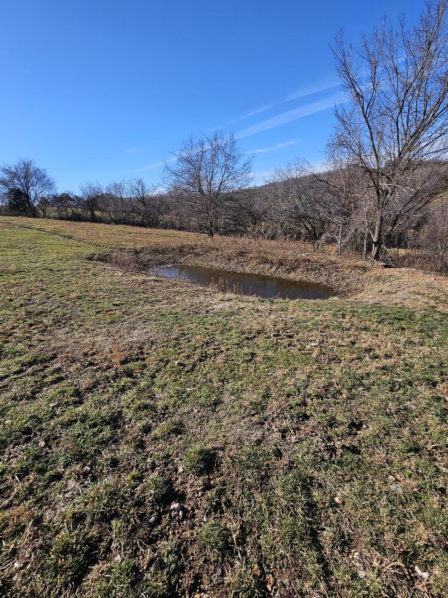 40.19 Acre Low Gap Road Property Photo 23