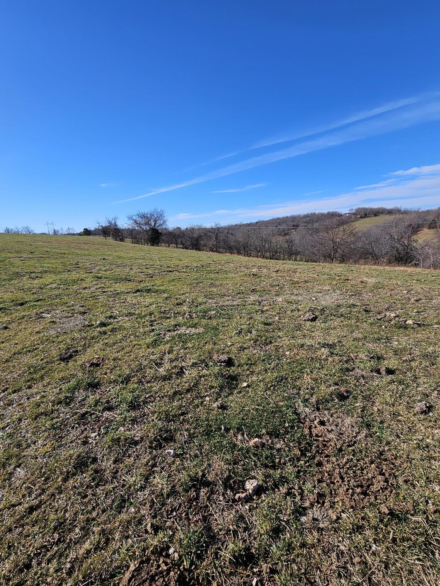 40.19 Acre Low Gap Road Property Photo 24