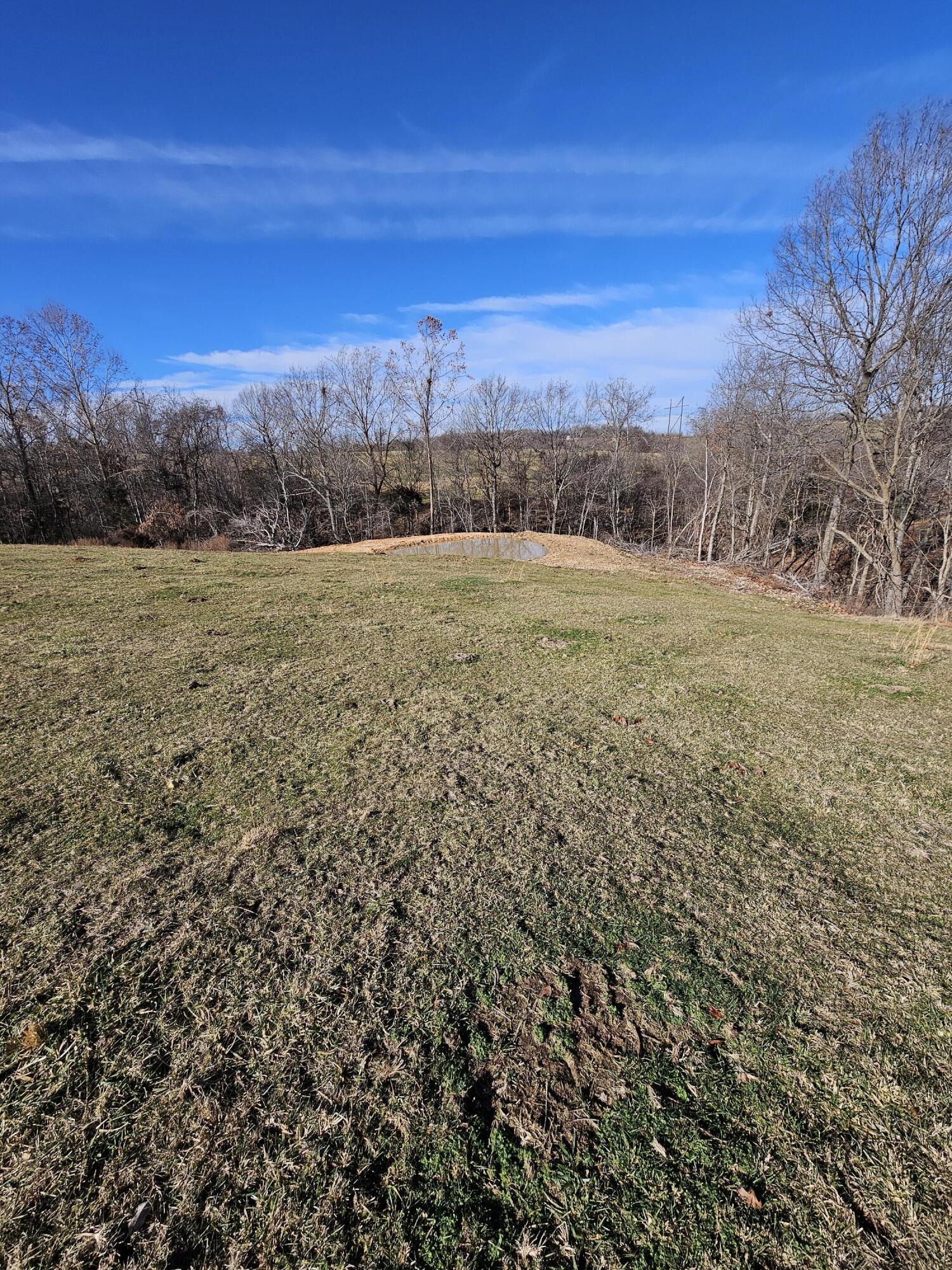40.19 Acre Low Gap Road Property Photo 25