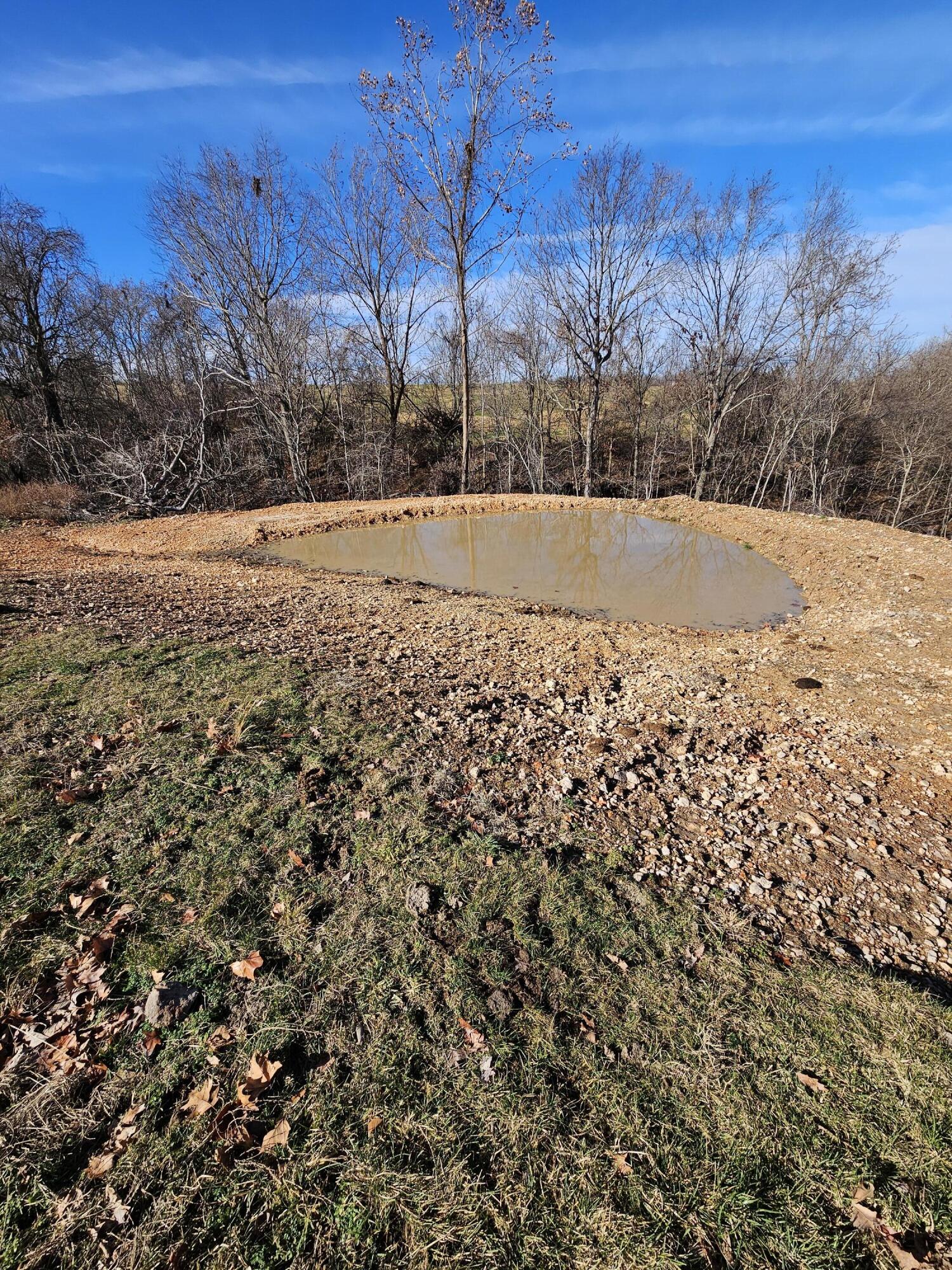40.19 Acre Low Gap Road Property Photo 26
