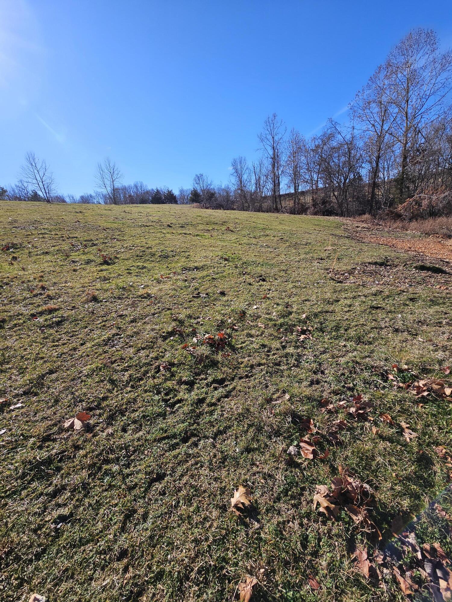 40.19 Acre Low Gap Road Property Photo 27