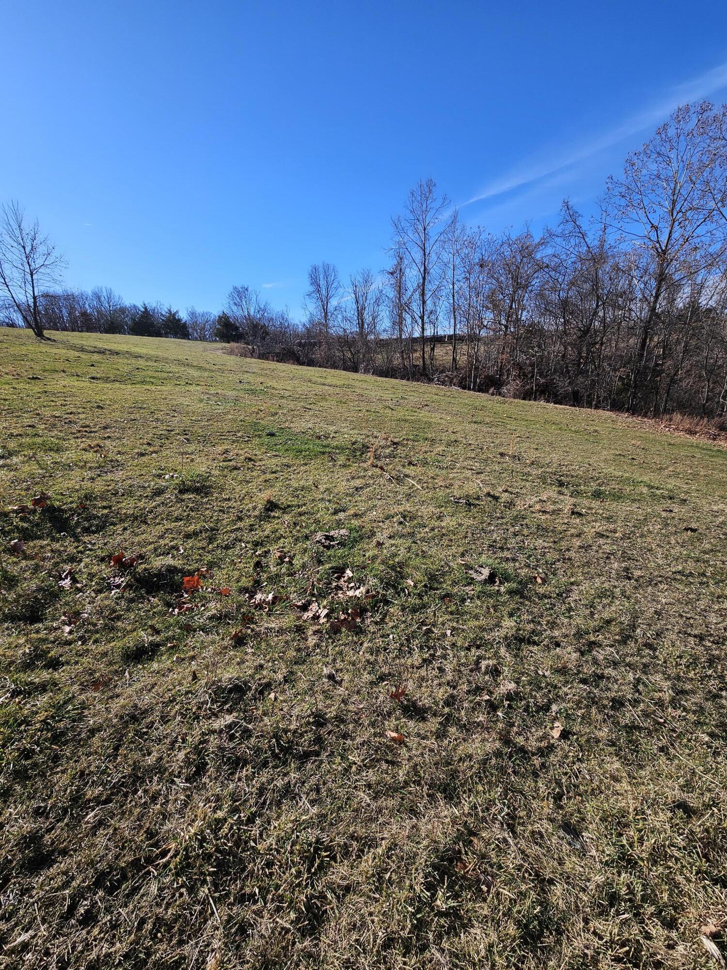 40.19 Acre Low Gap Road Property Photo 28