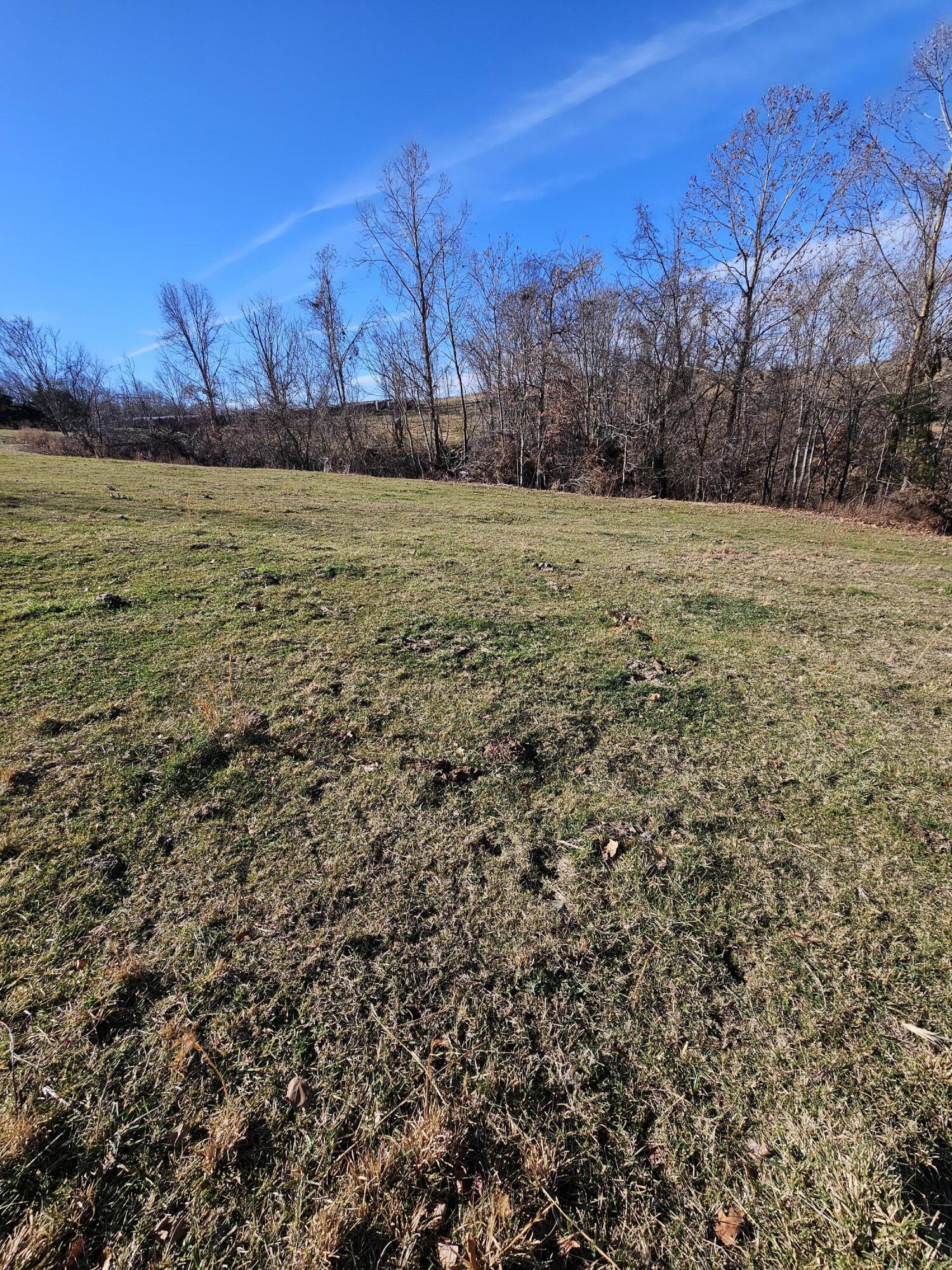 40.19 Acre Low Gap Road Property Photo 29