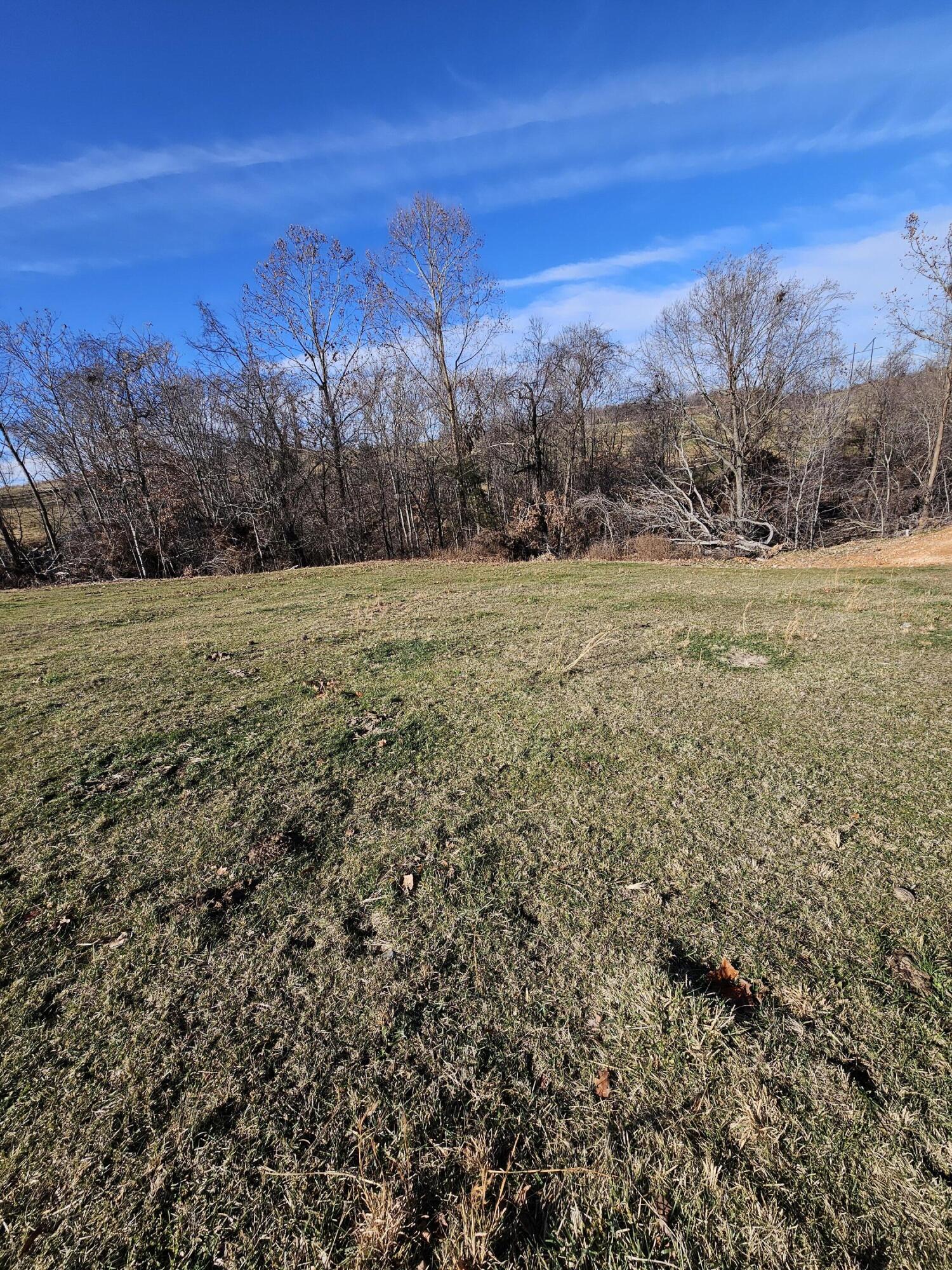 40.19 Acre Low Gap Road Property Photo 30