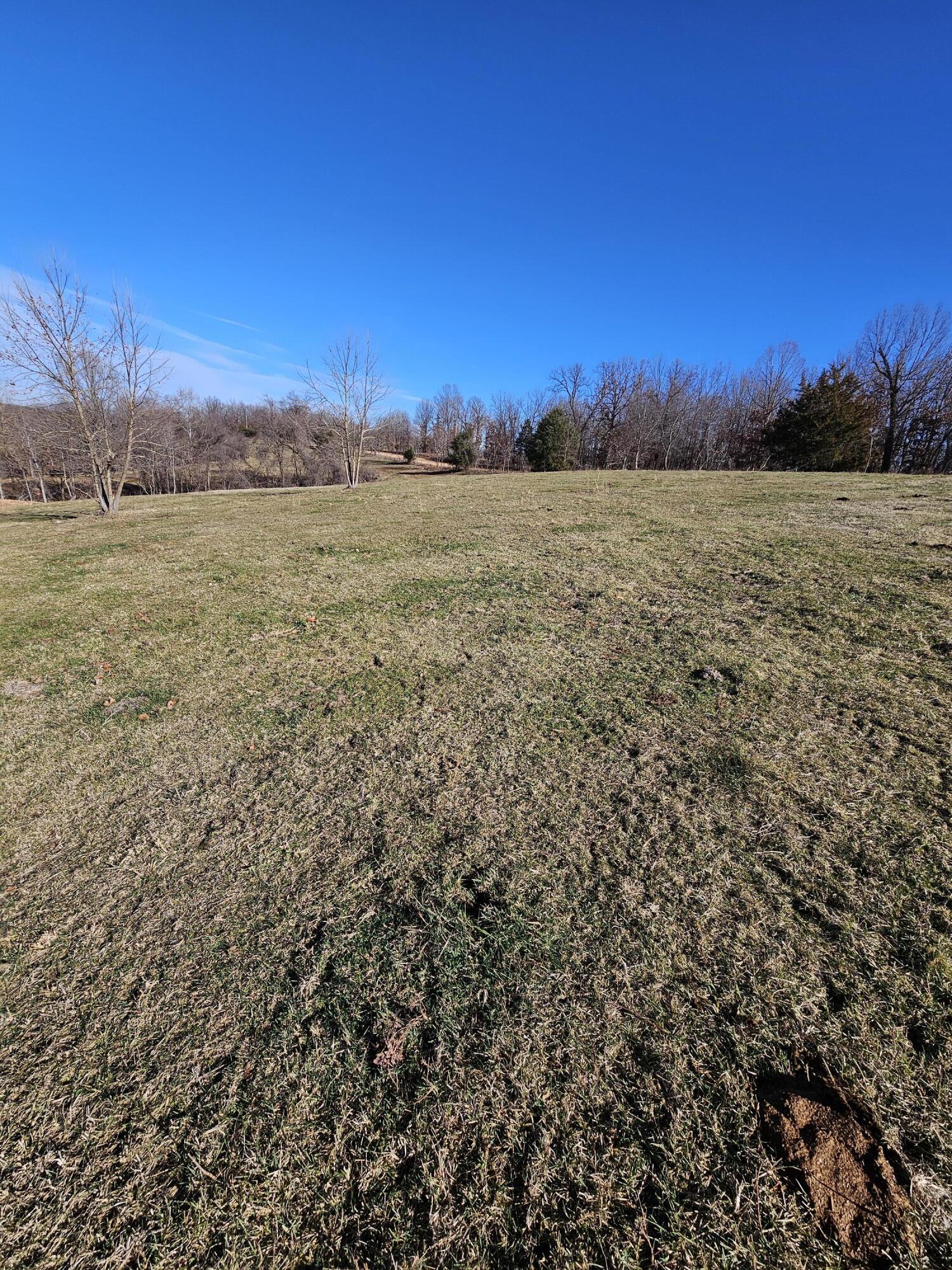40.19 Acre Low Gap Road Property Photo 31