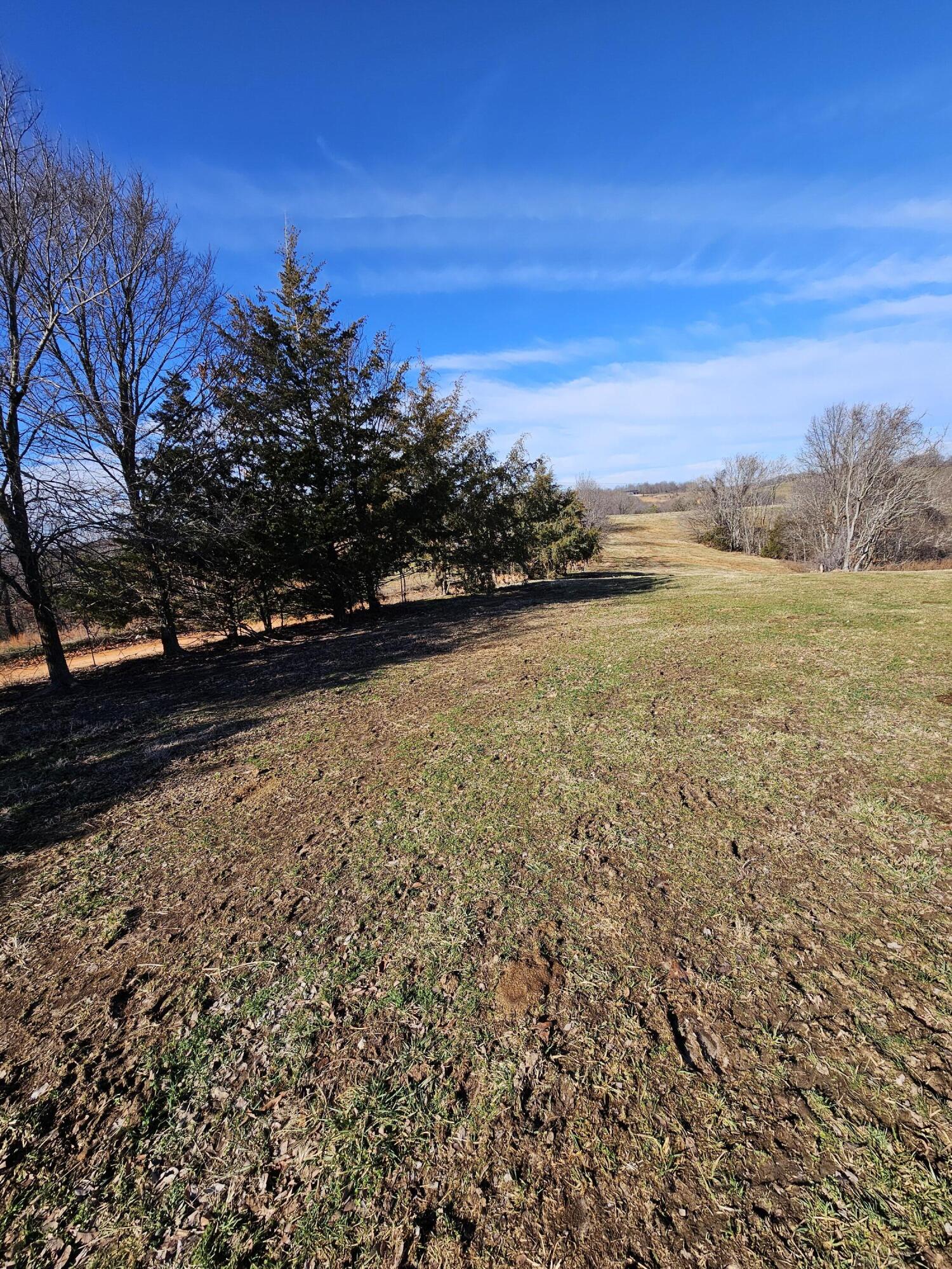 40.19 Acre Low Gap Road Property Photo 33