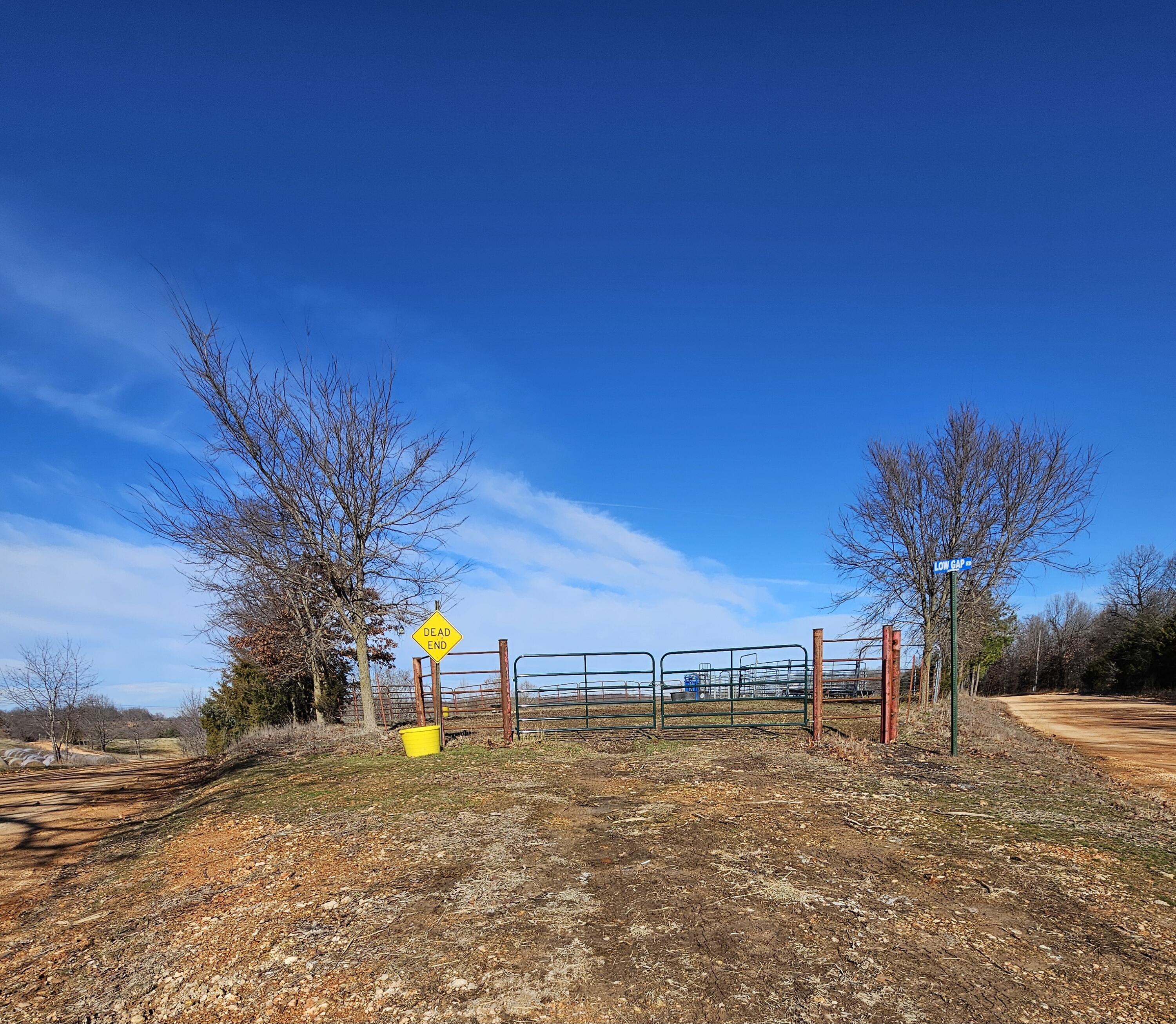 40.19 Acre Low Gap Road Property Photo 35