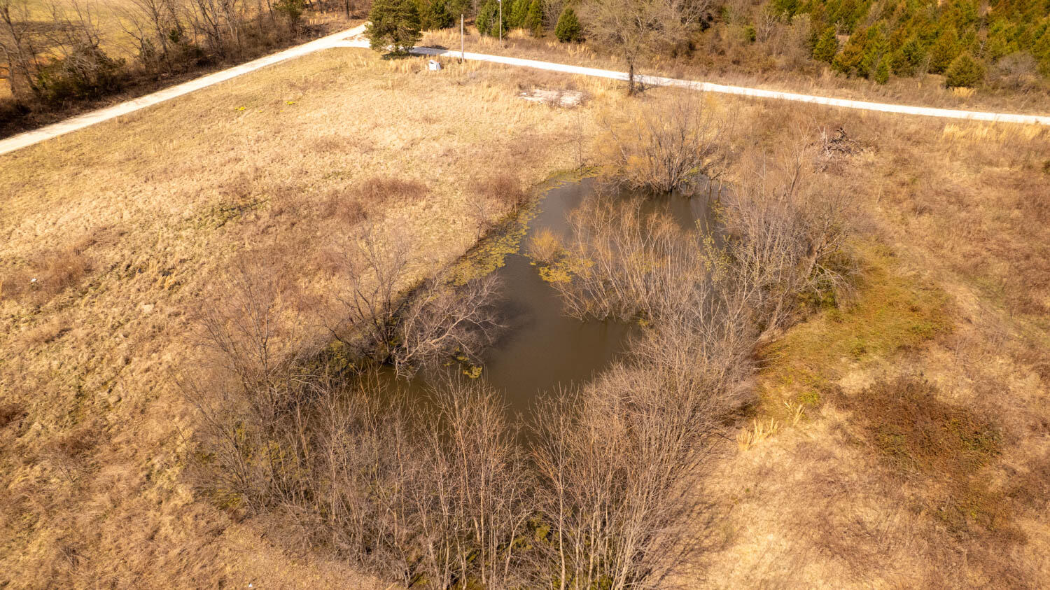 14392 County Road 6790 Property Photo 49