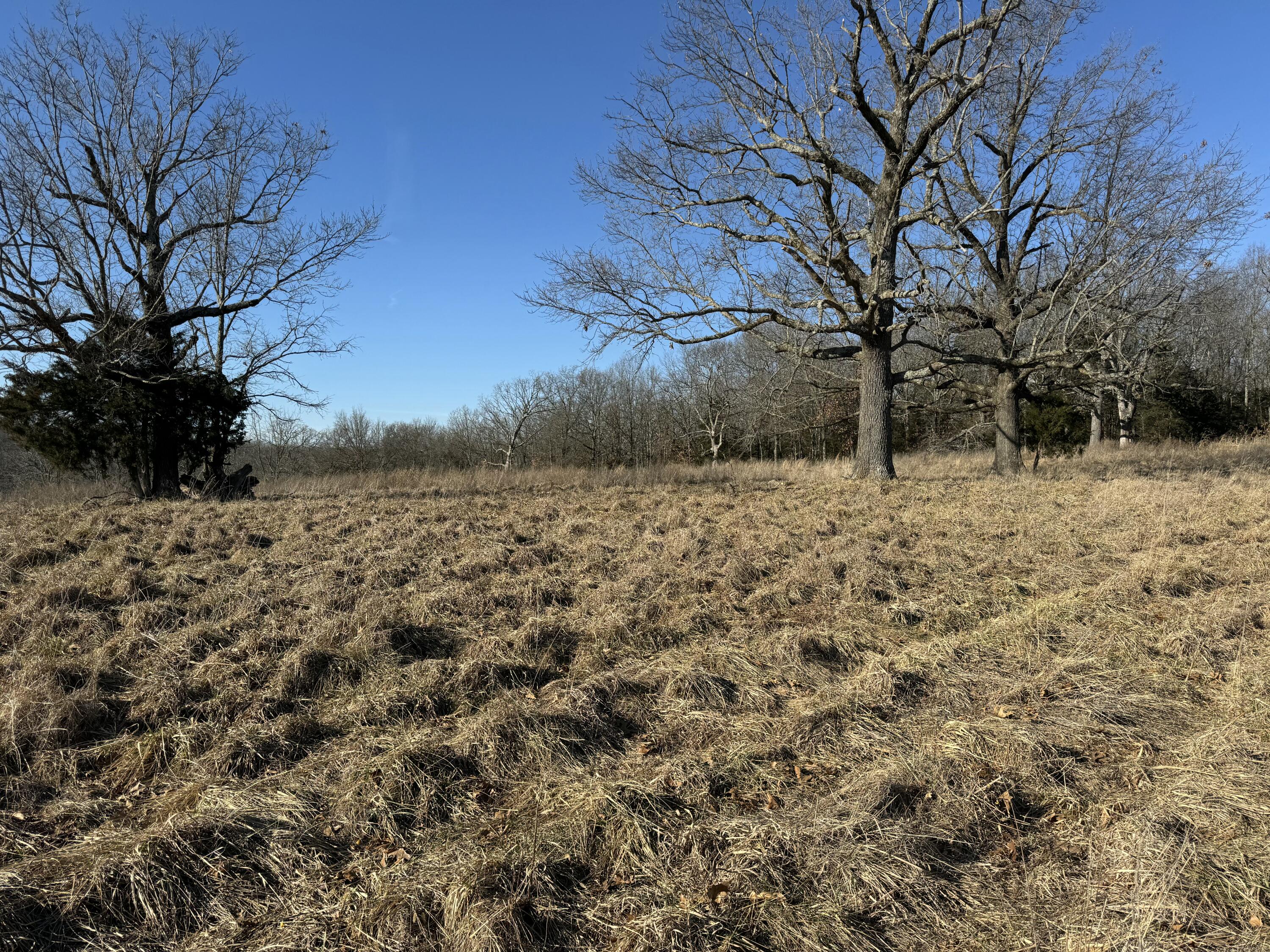 000 State Hwy Tt Property Photo 17