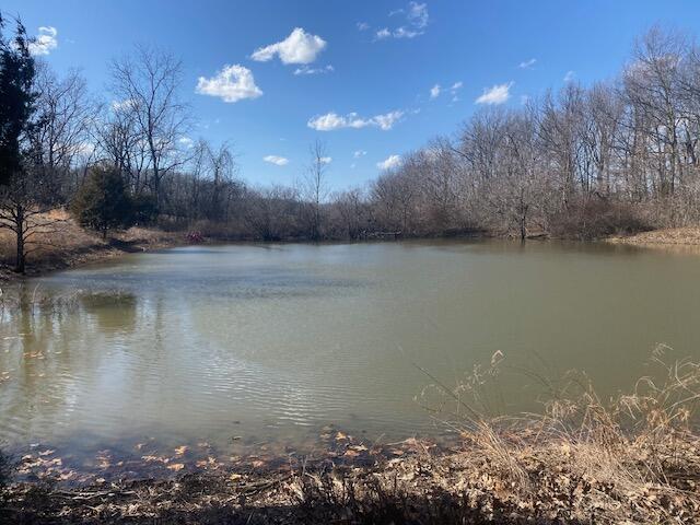 18313 State Hwy Bb Property Photo 23