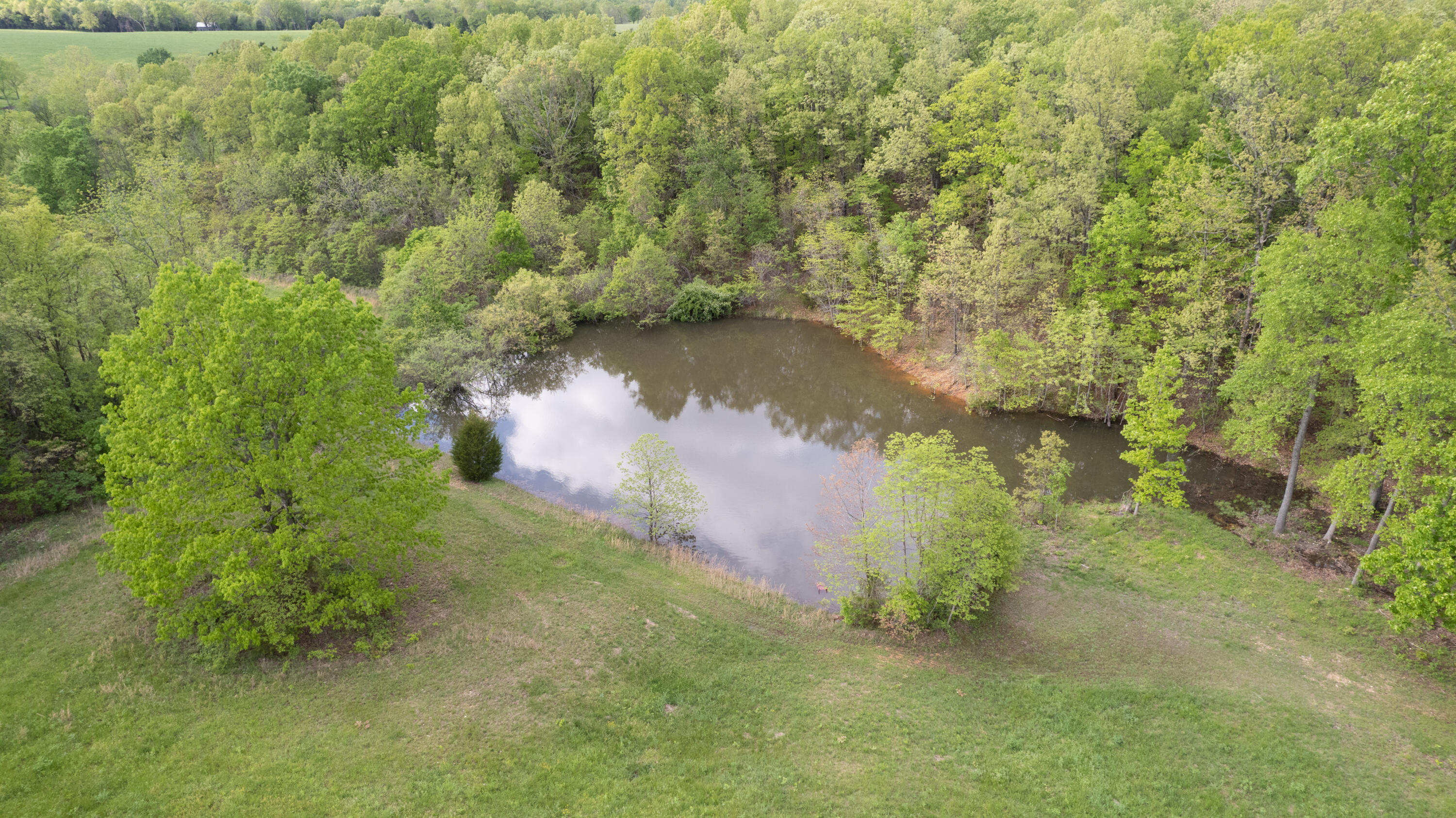18313 State Hwy Bb Property Photo 28
