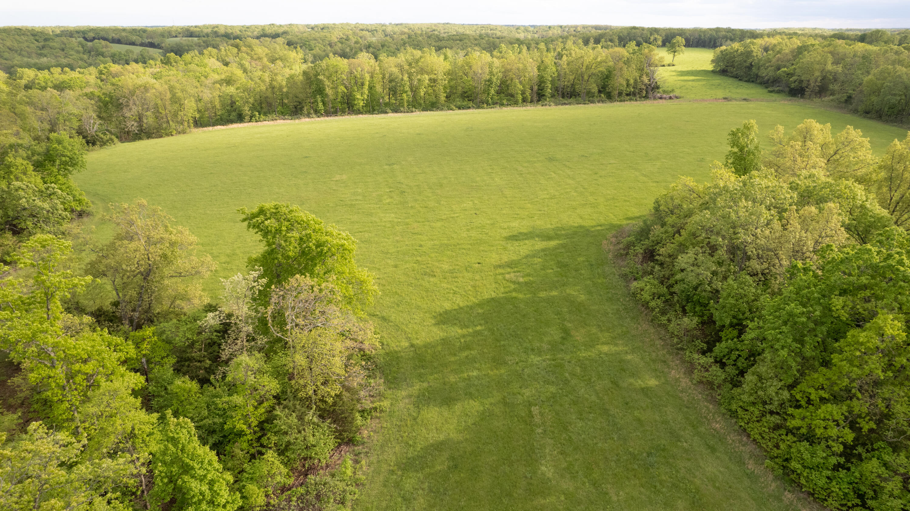 18313 State Hwy Bb Property Photo 29