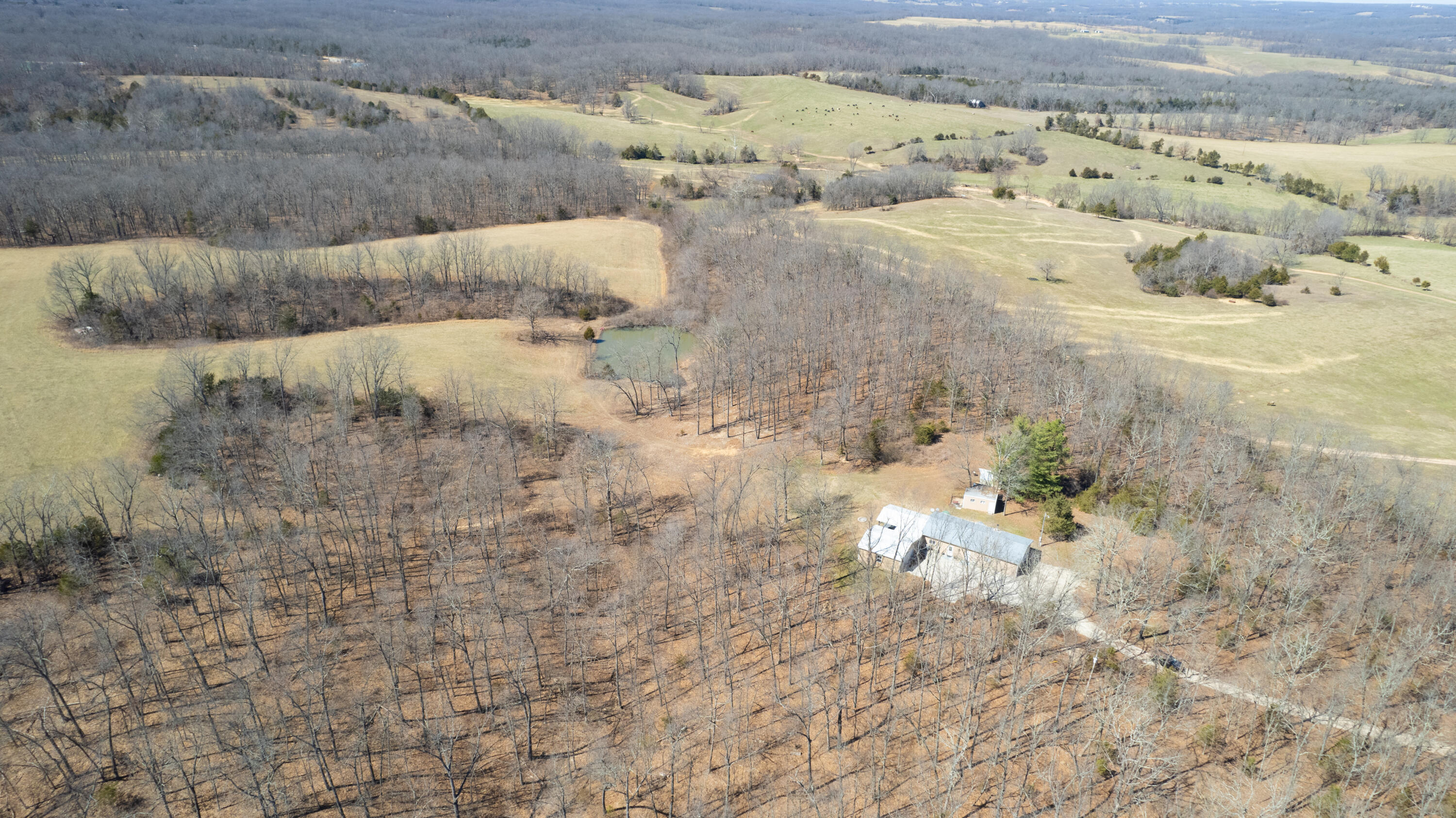18313 State Hwy Bb Property Photo 37