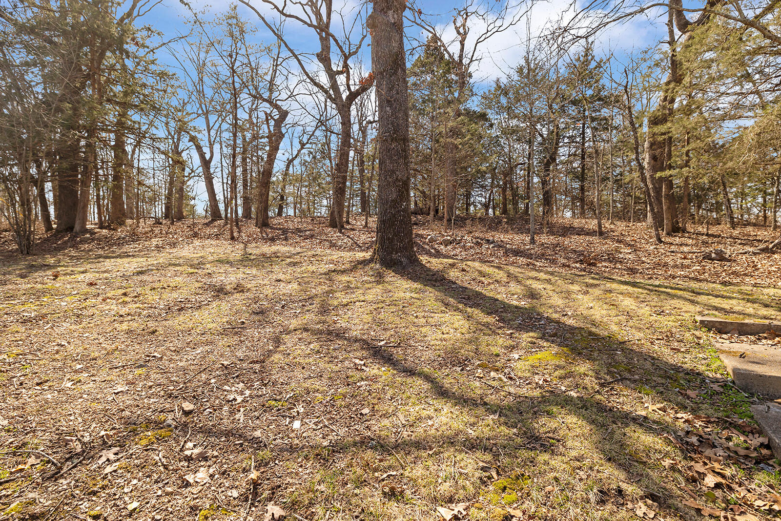 51 County Road Property Photo 8