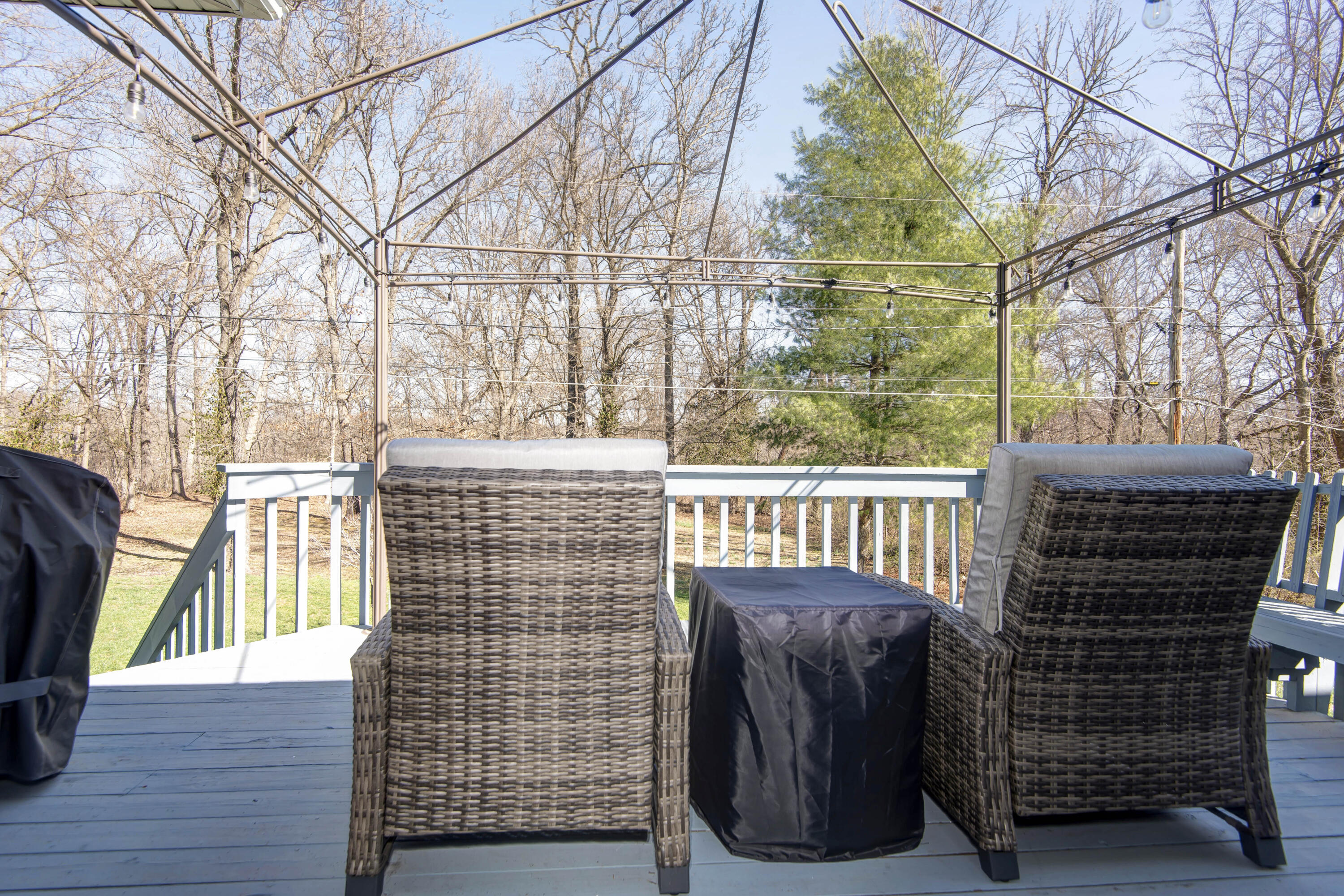 1413 South Ginger Blue Avenue Property Photo 46