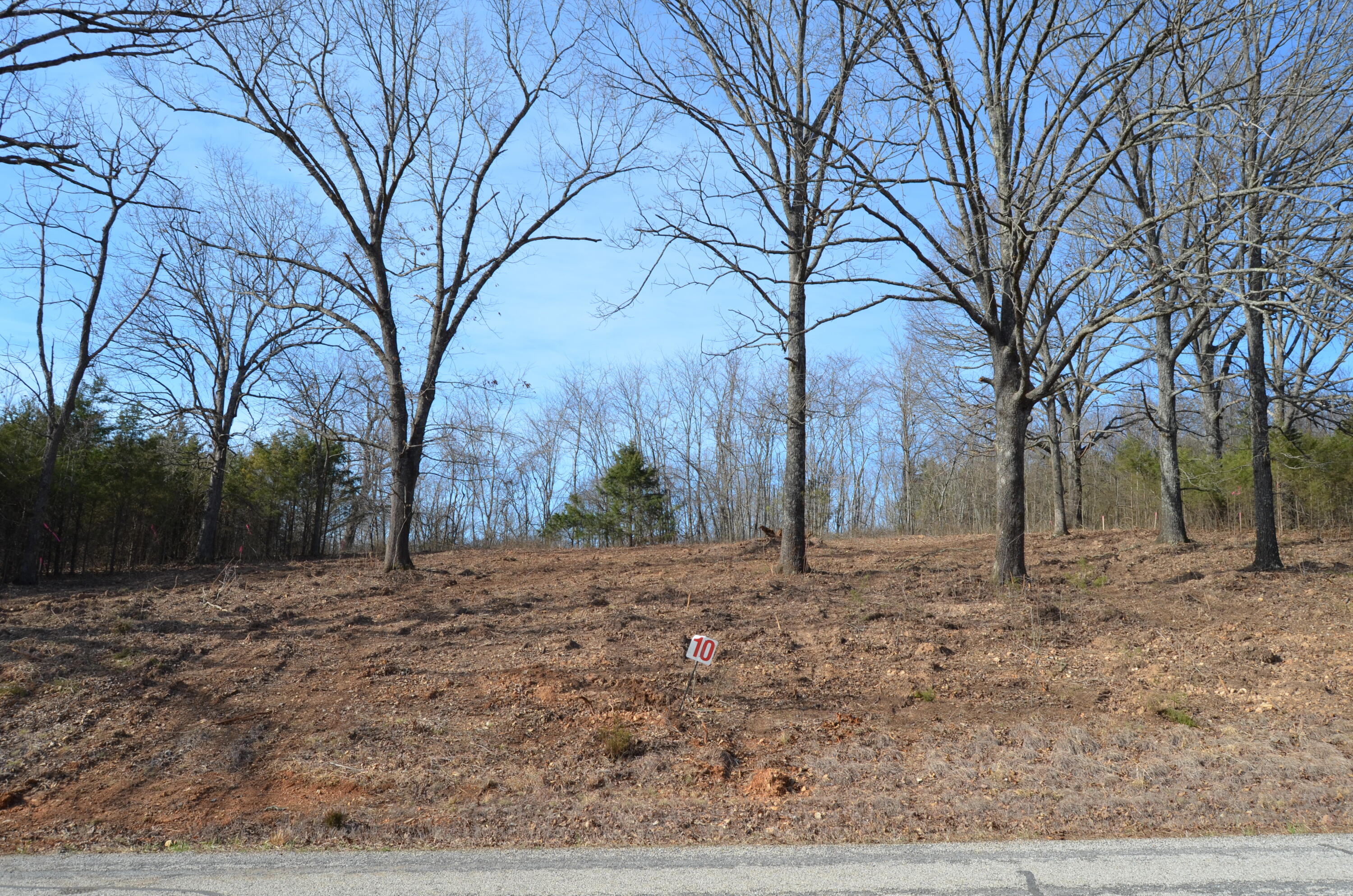 1049 Hanging Branch Ridge Property Photo 4