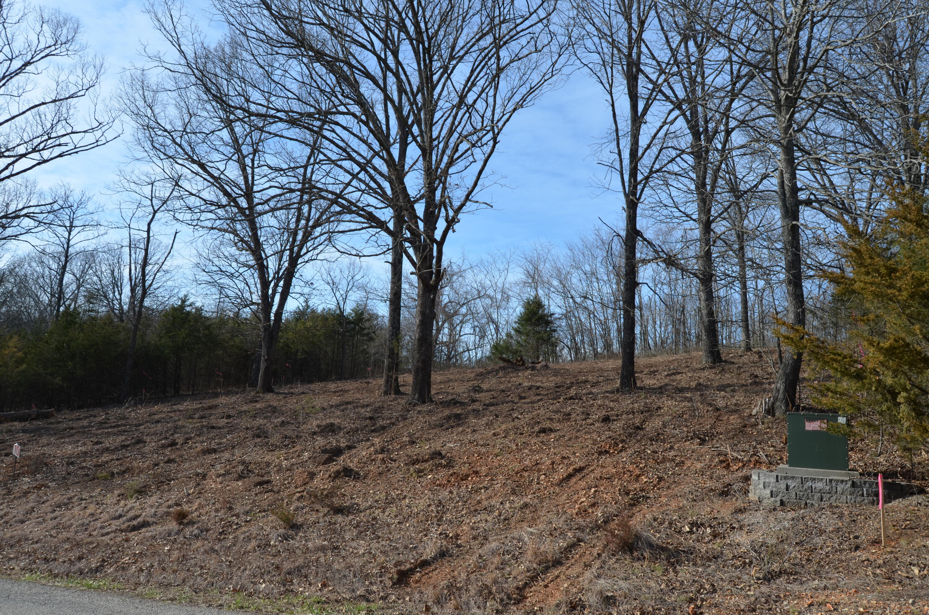 1049 Hanging Branch Ridge Property Photo 5