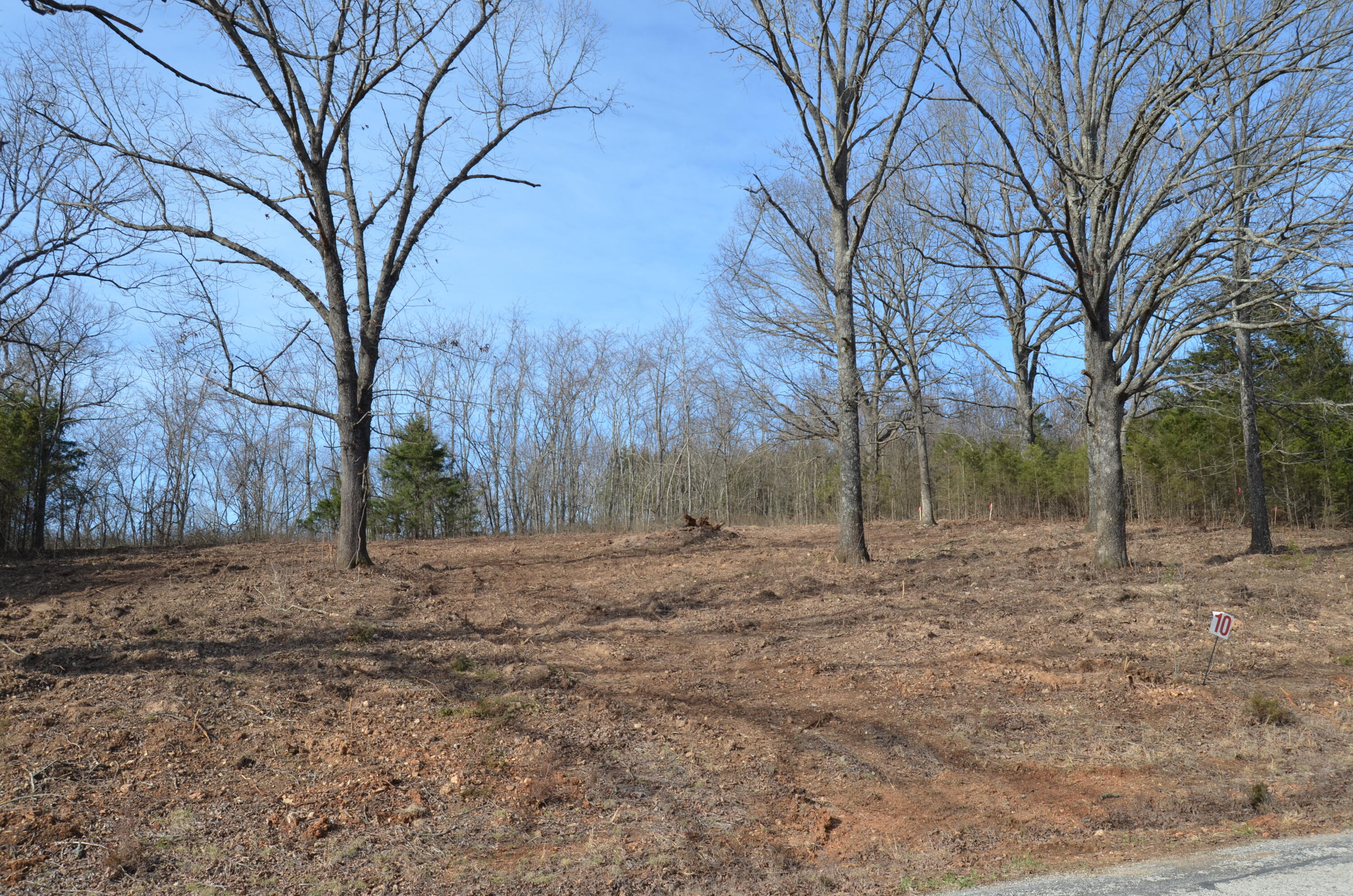 1049 Hanging Branch Ridge Property Photo 6