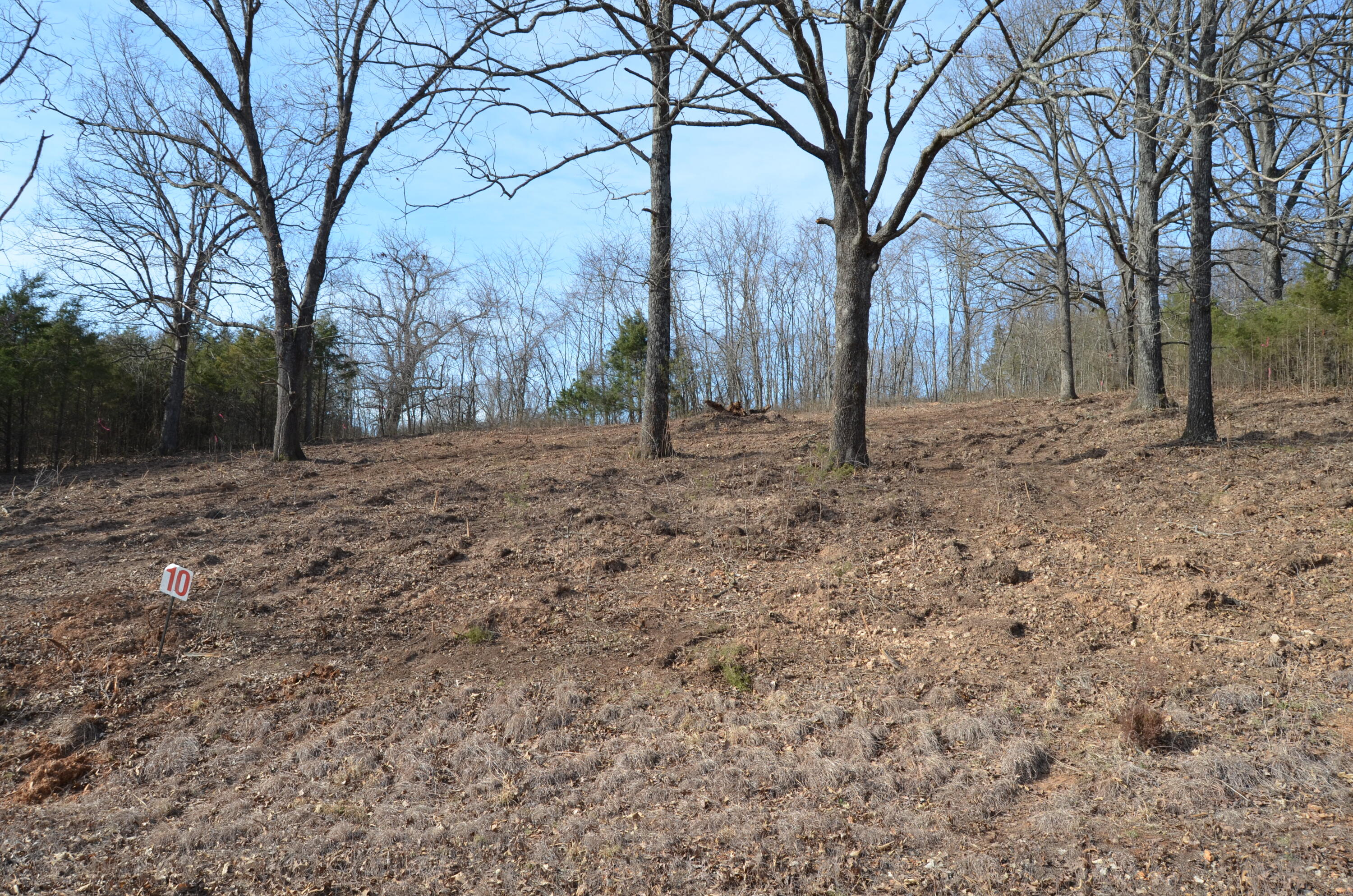 1049 Hanging Branch Ridge Property Photo 7