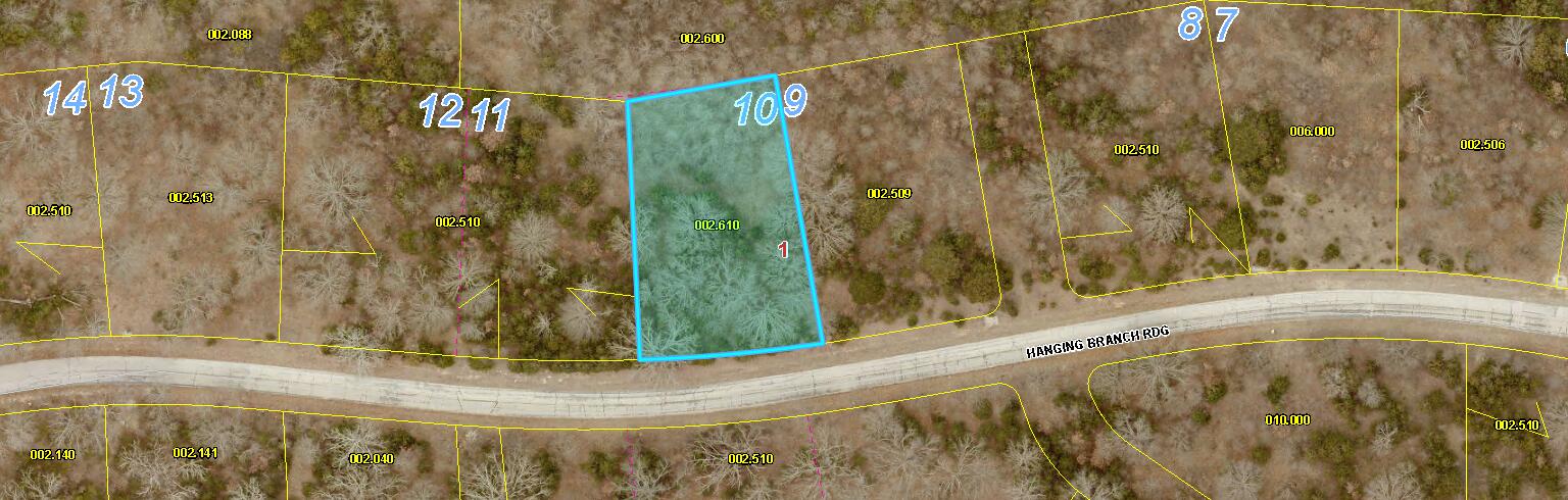 1049 Hanging Branch Ridge Property Photo 10