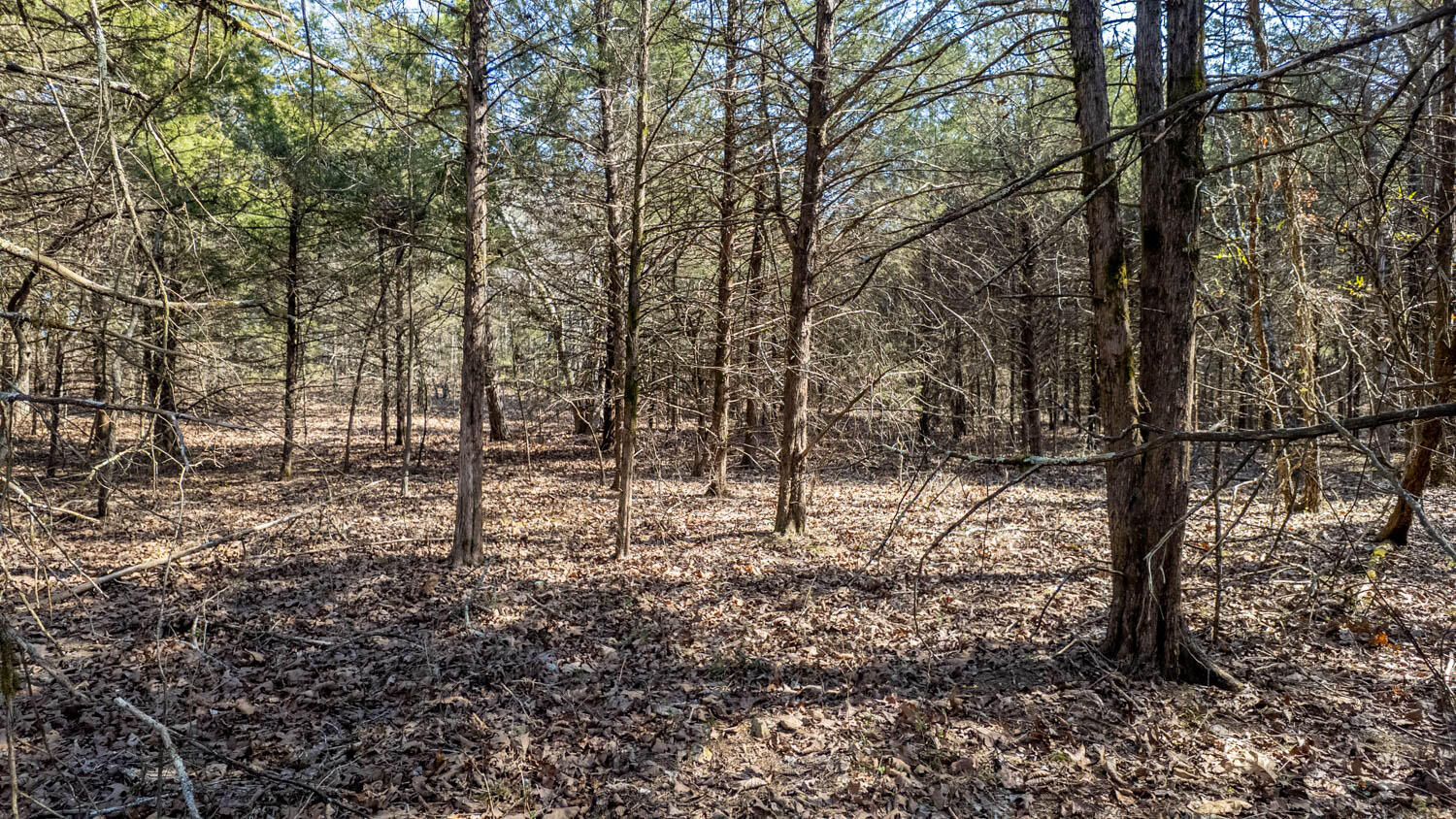 000 County Road 2410 Property Photo 11