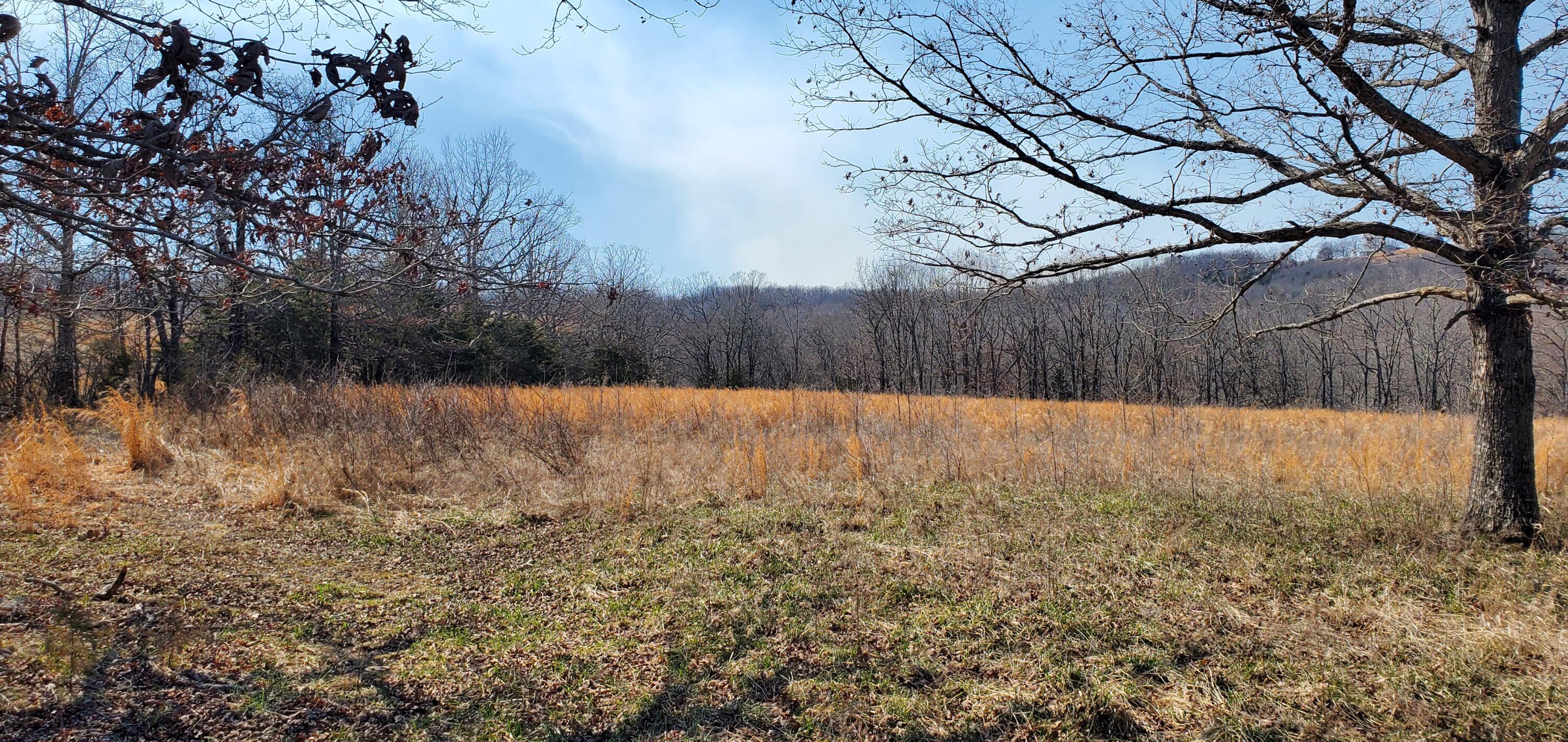 000 County Road 330 Property Photo 2
