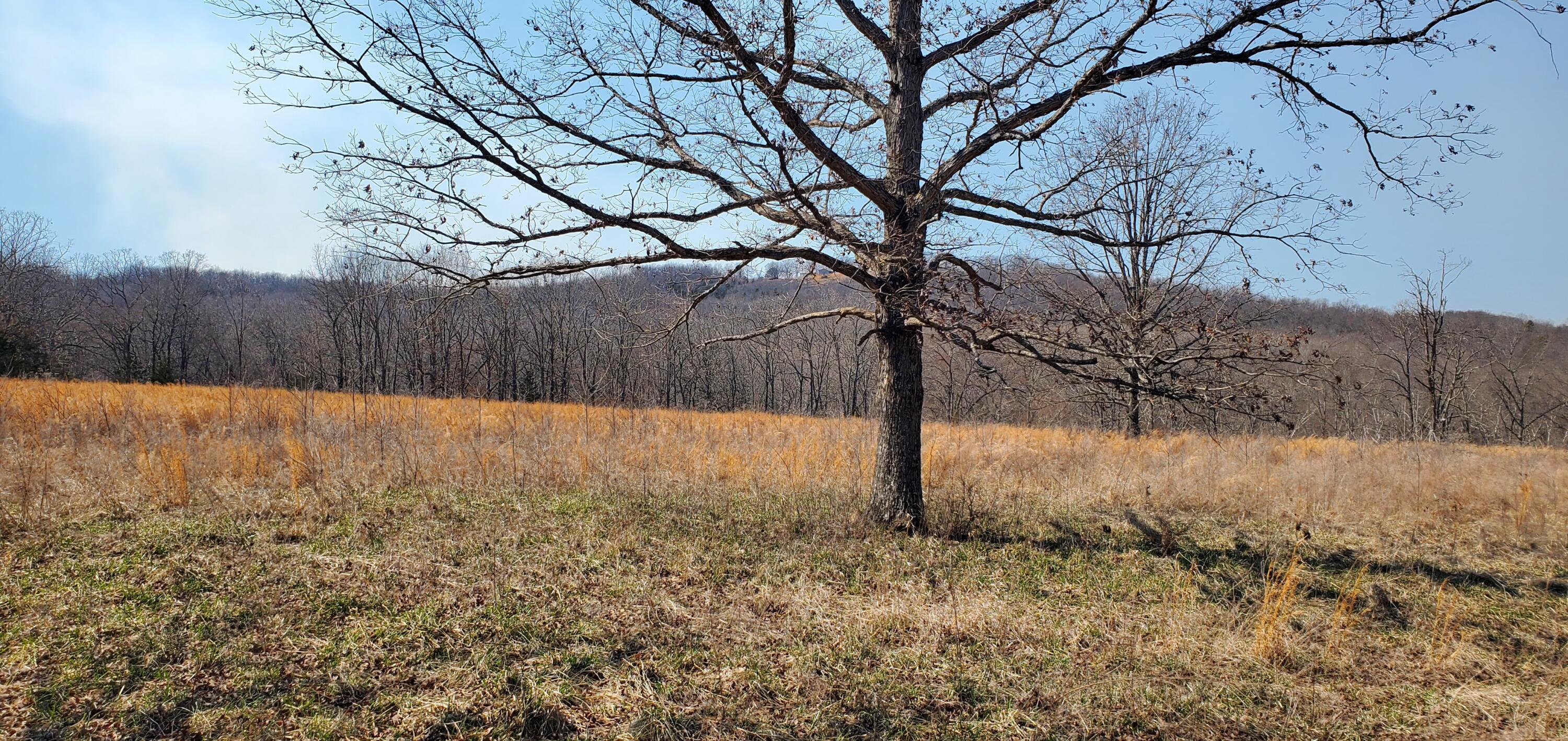 000 County Road 330 Property Photo 3