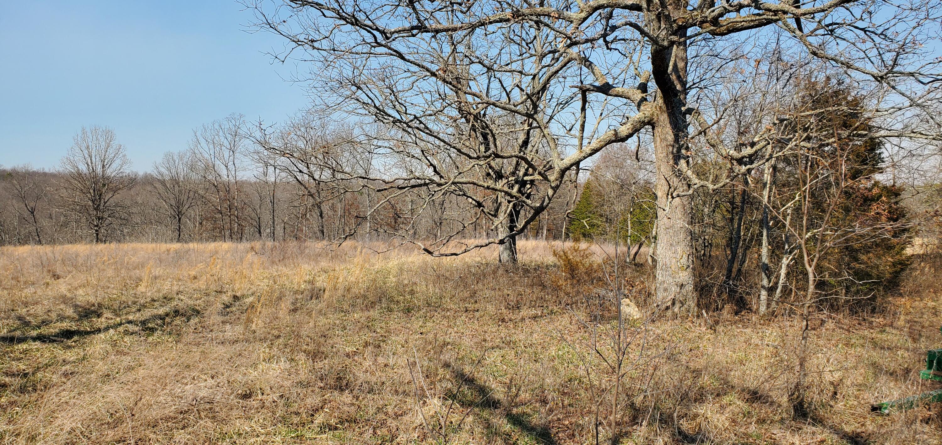 000 County Road 330 Property Photo 4