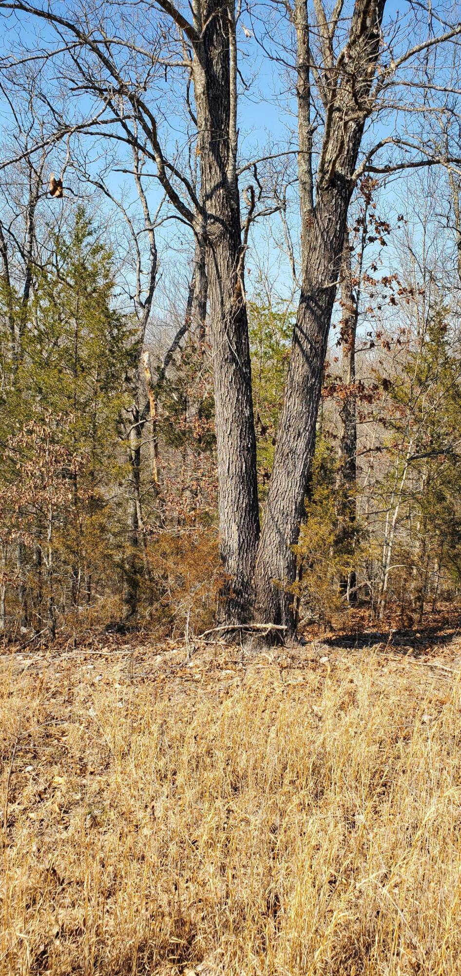000 County Road 330 Property Photo 14